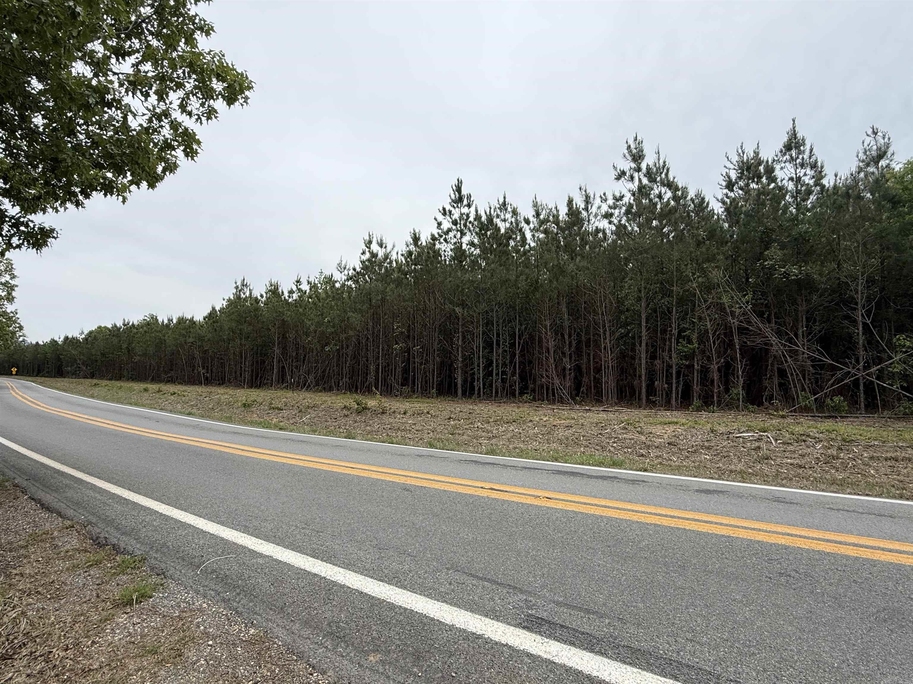Parcel 2 Highway 172 Property Photo 7