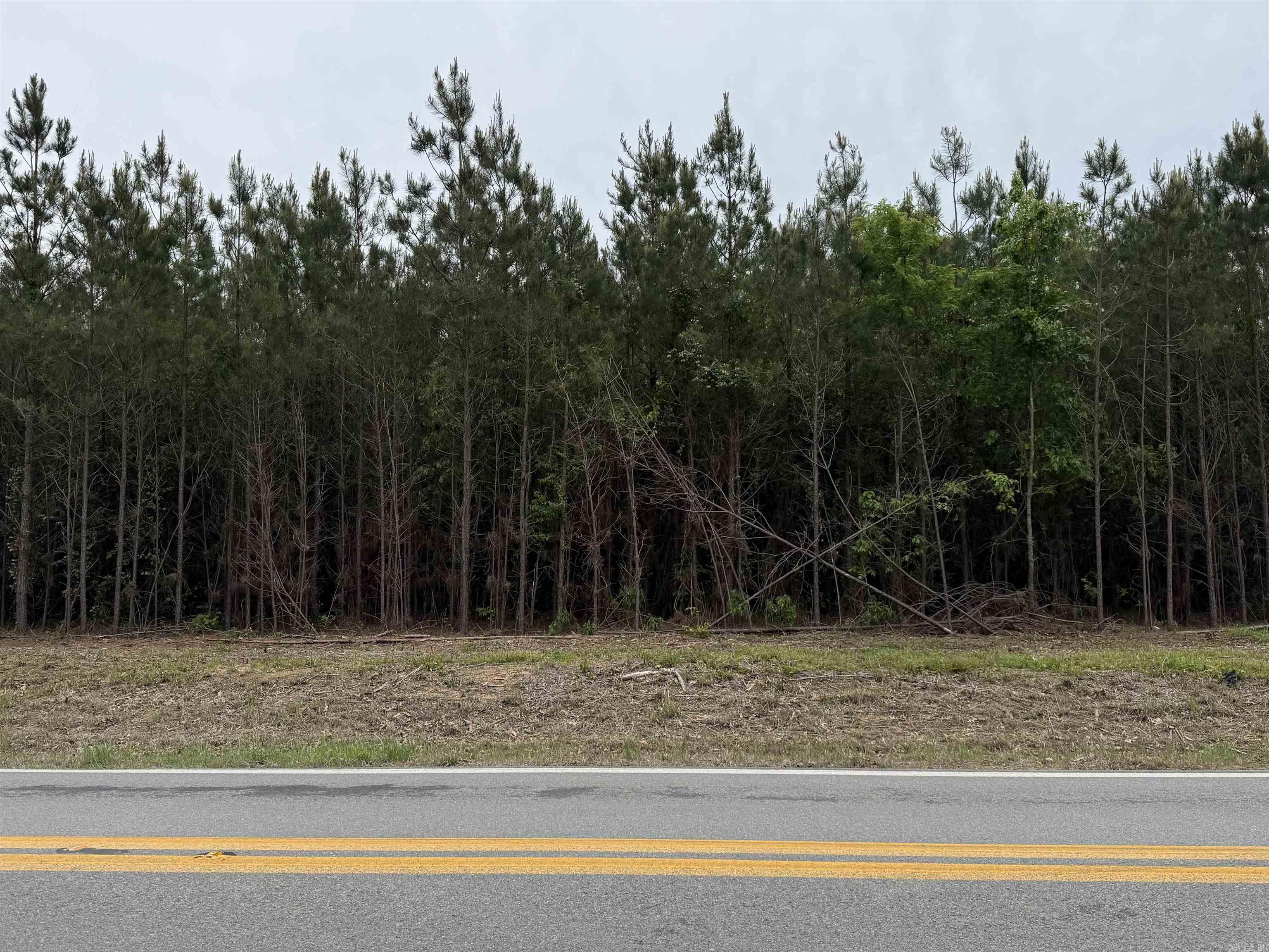 Parcel 2 Highway 172 Property Photo 8