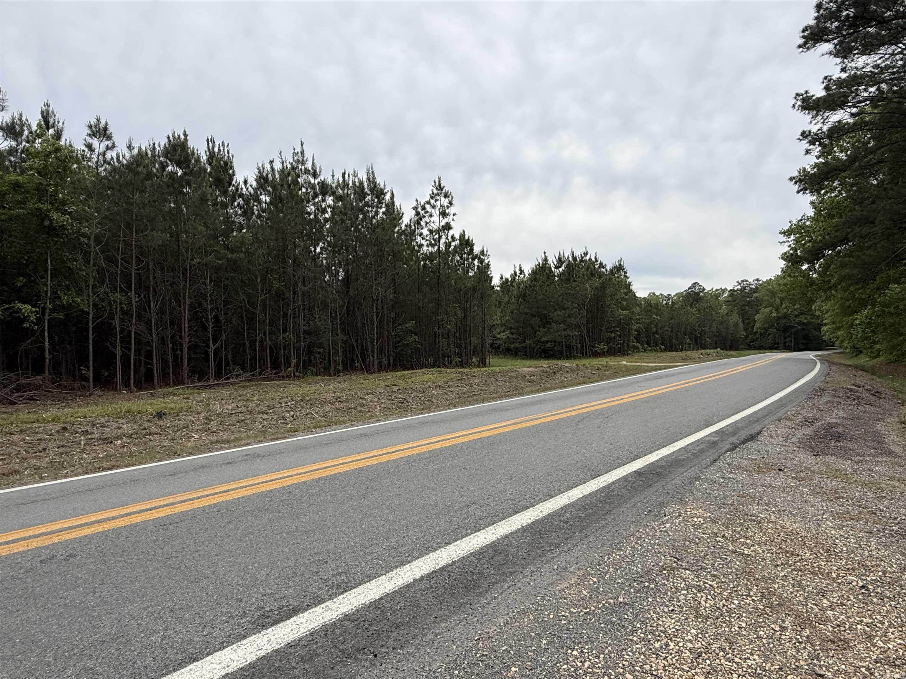 Parcel 2 Highway 172 Property Photo 9