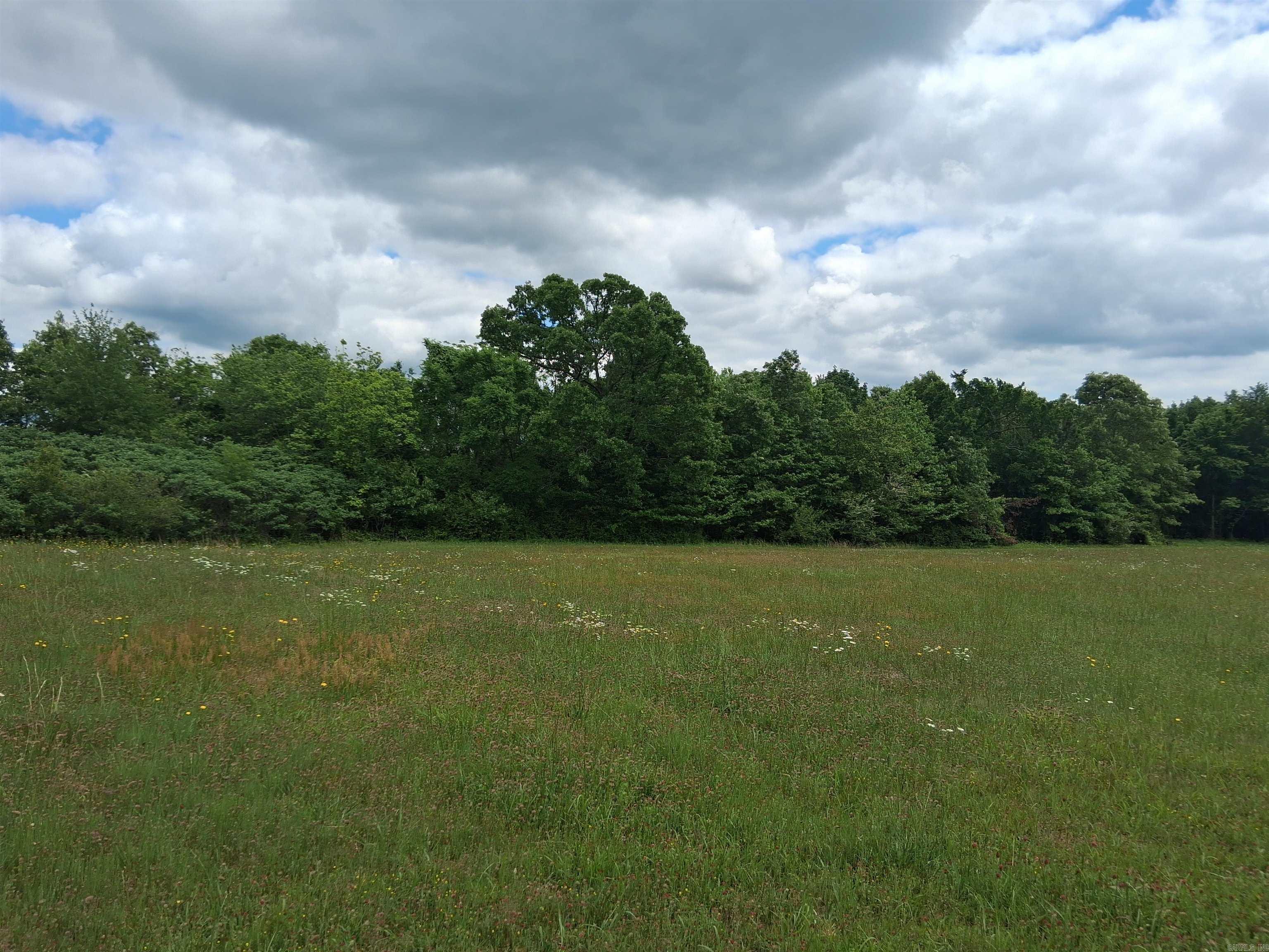 206 Meadow View Dr Property Photo 2