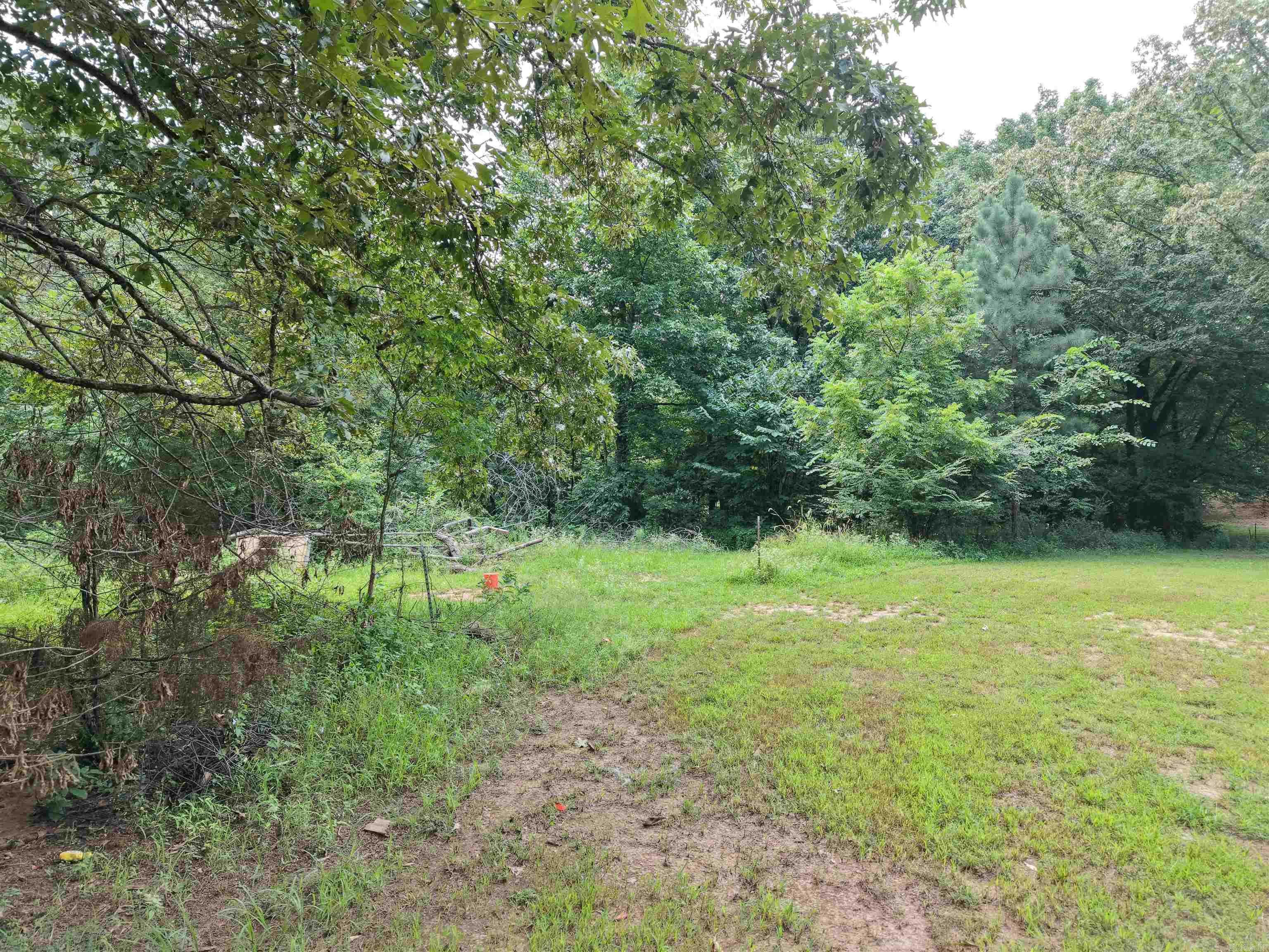 1981 Bellview Road Property Photo 28