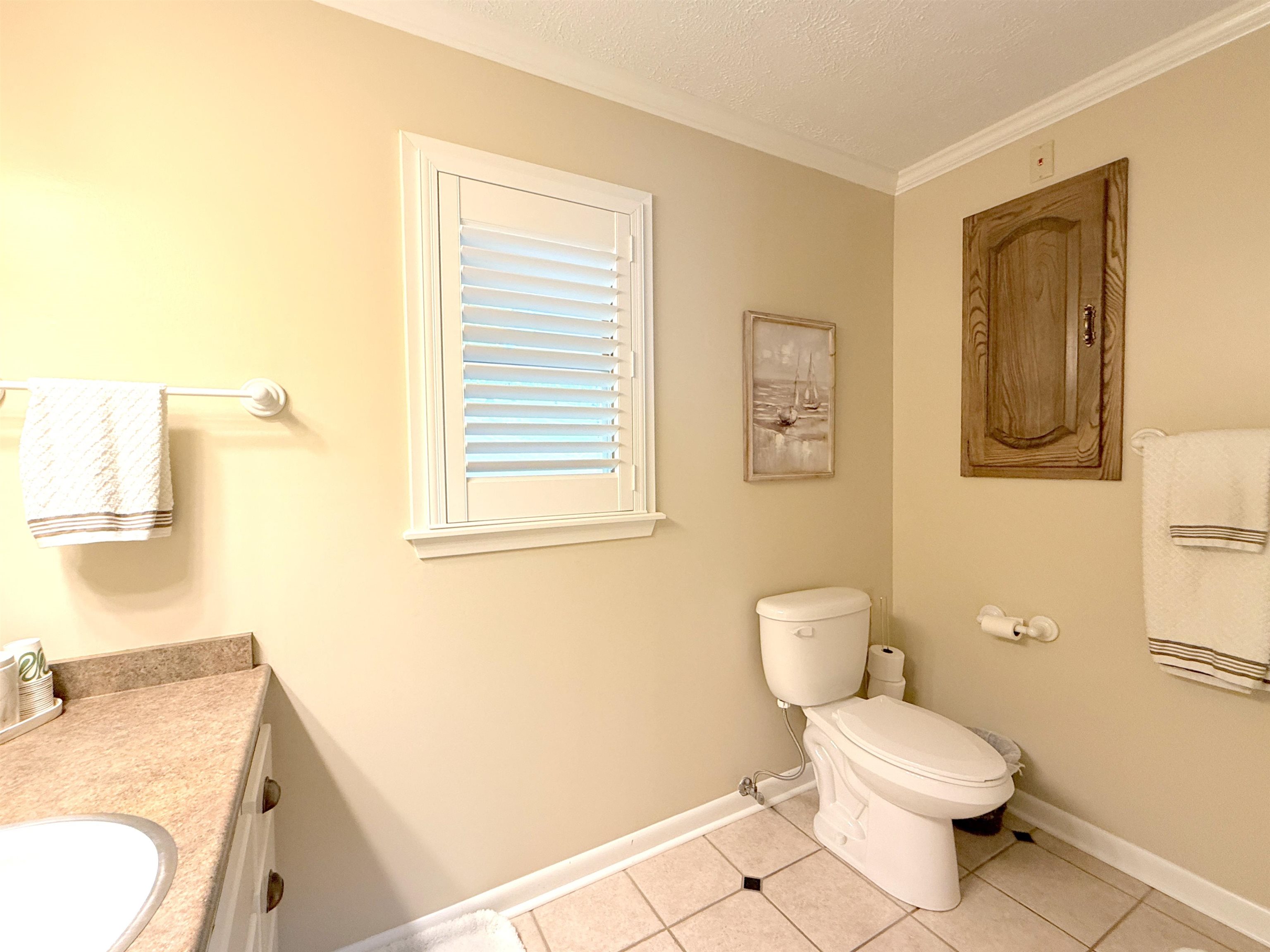 9 Keosauqua Drive Property Photo 34