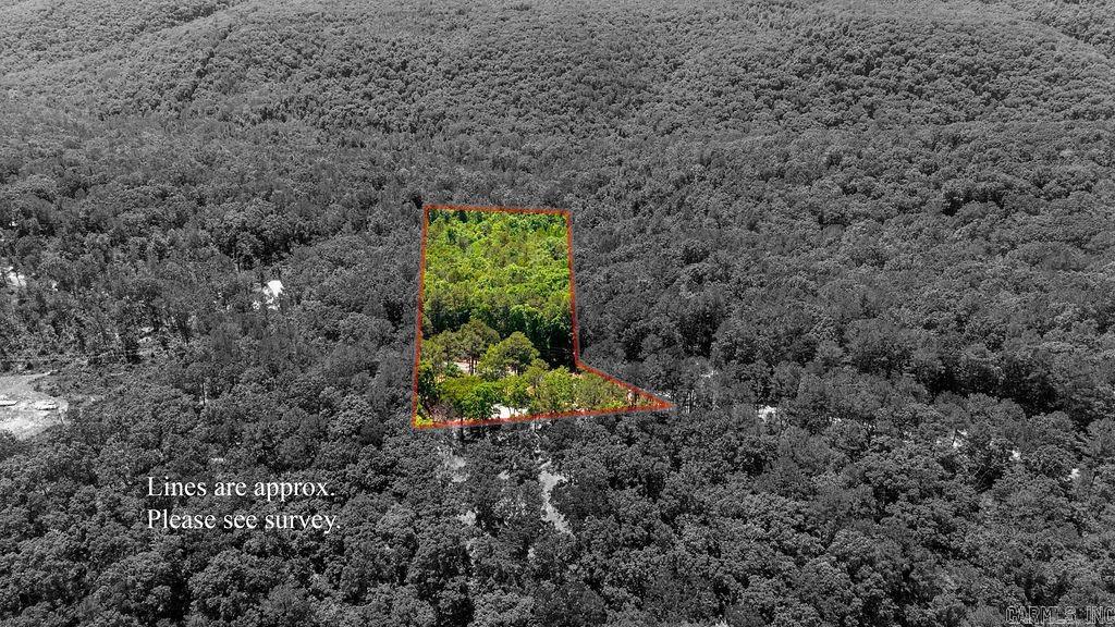 4429 Oyler Property Photo 22