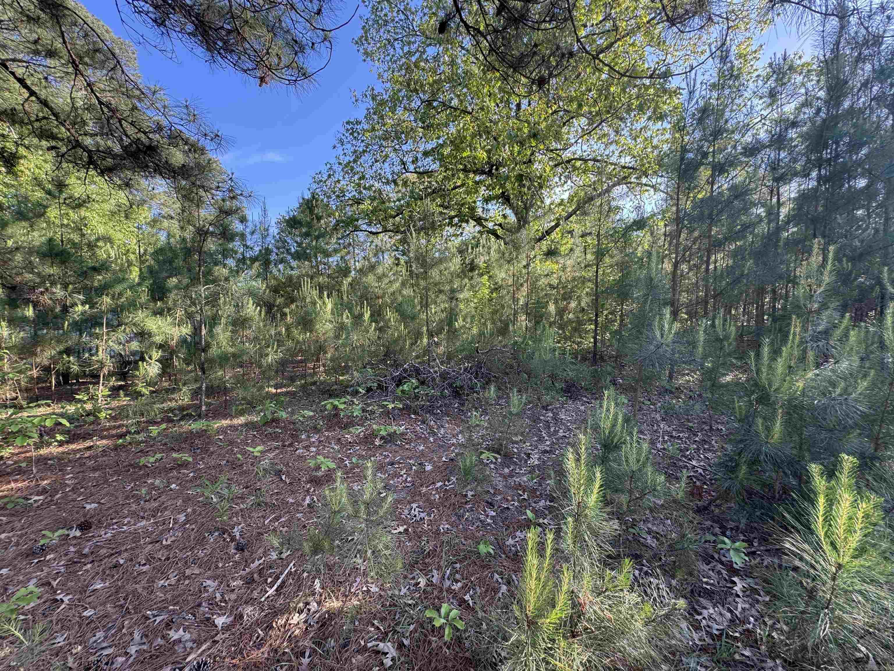 129 Ouachita 502 Property Photo 3