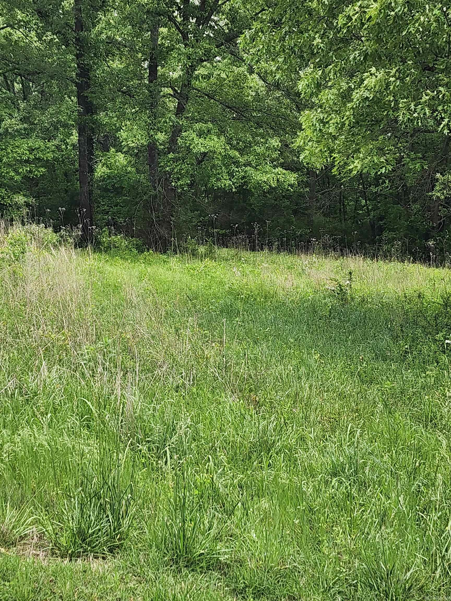 Fox Chase Drive Property Photo 12