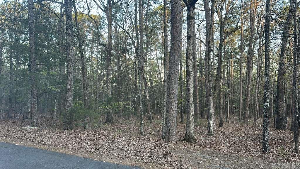 145 Lumberjack Ln Property Photo 2