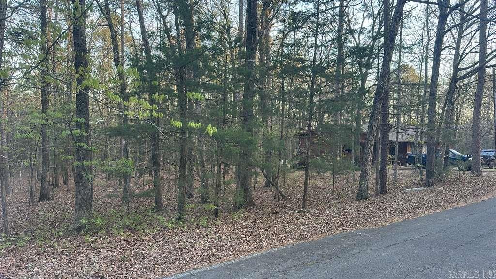 145 Lumberjack Ln Property Photo 3