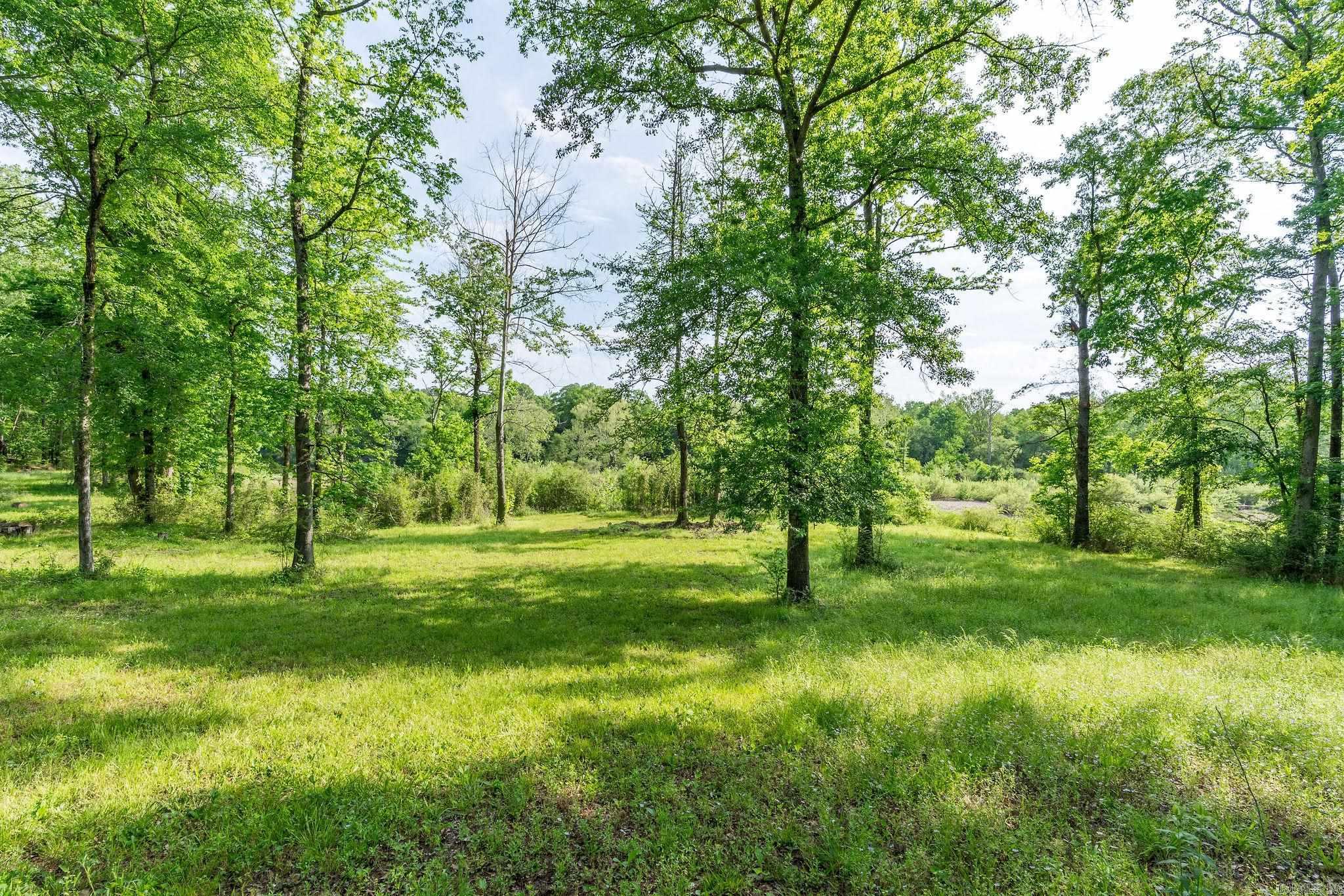 100 Old River Cabin Road Property Photo 6
