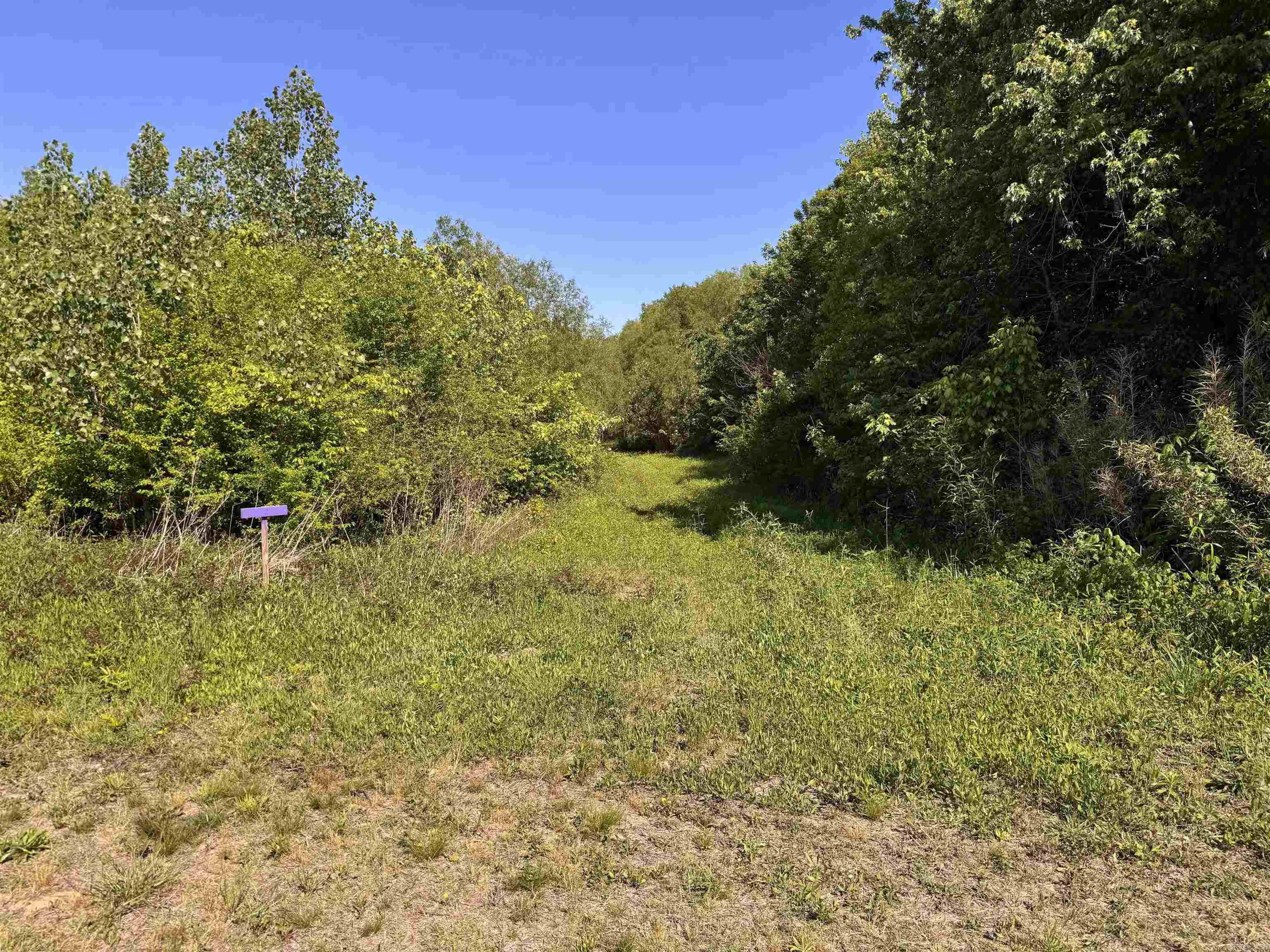 001 Arm Lake Road Property Photo 4