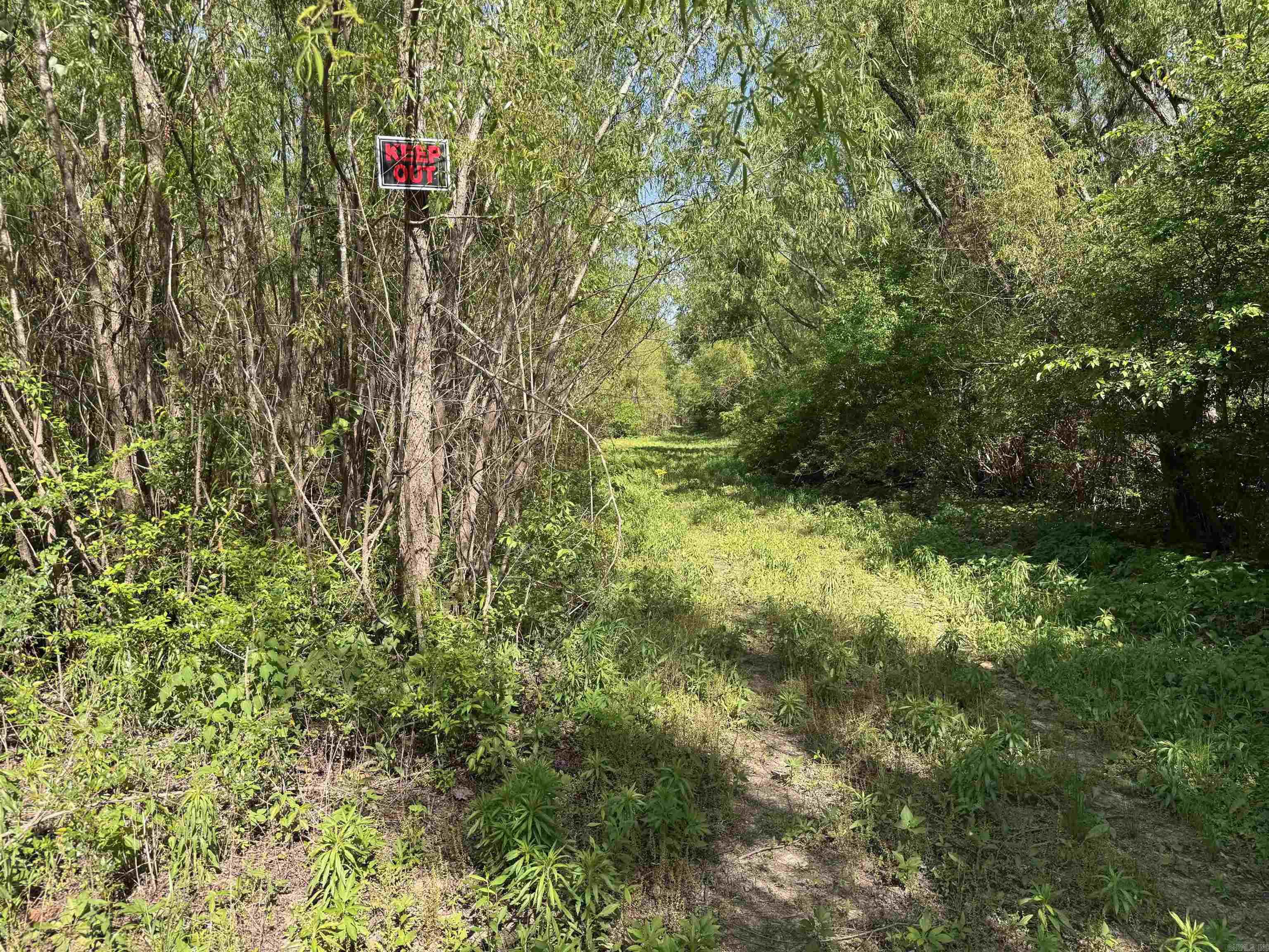 001 Arm Lake Road Property Photo 6