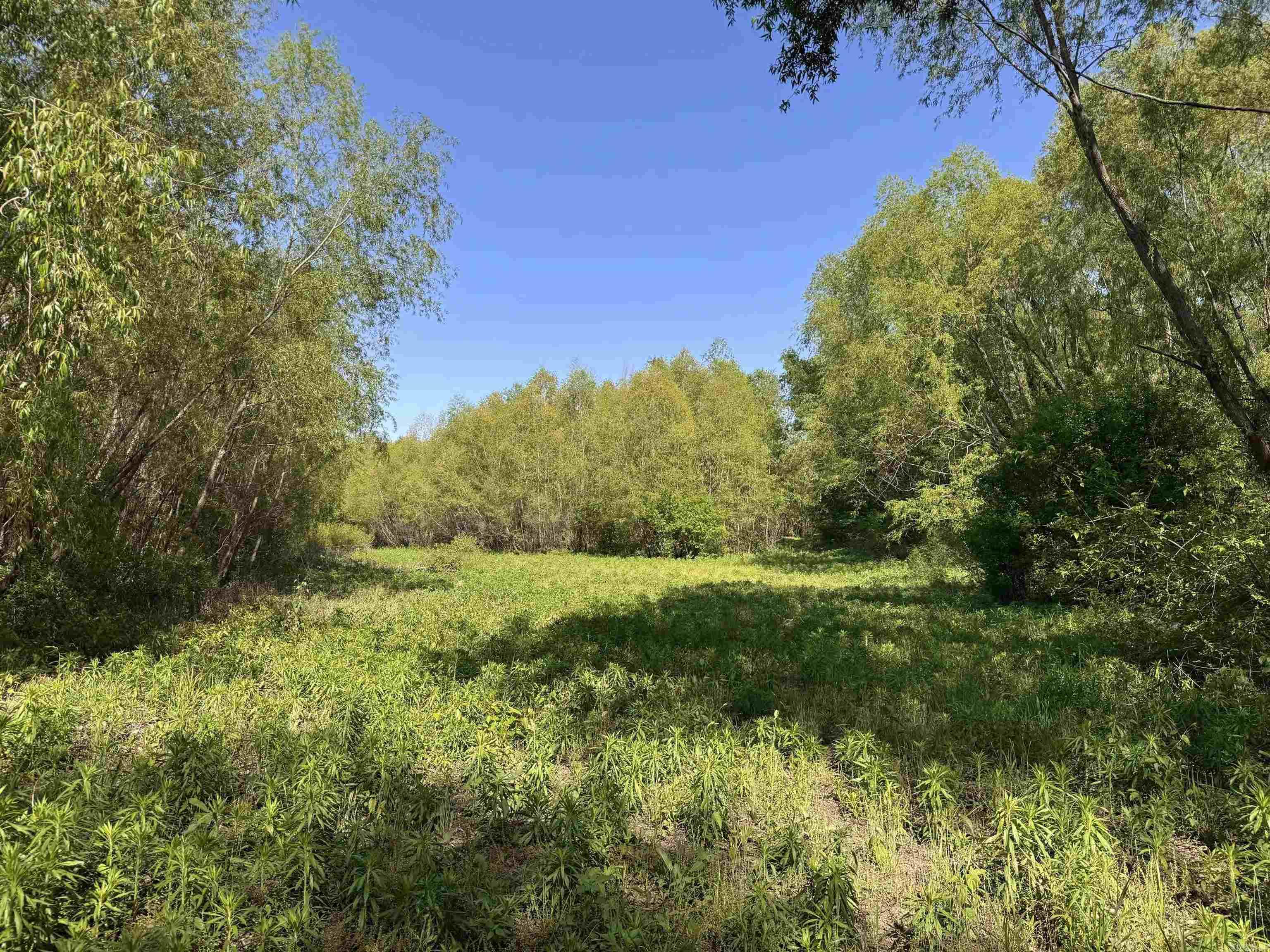 001 Arm Lake Road Property Photo 7