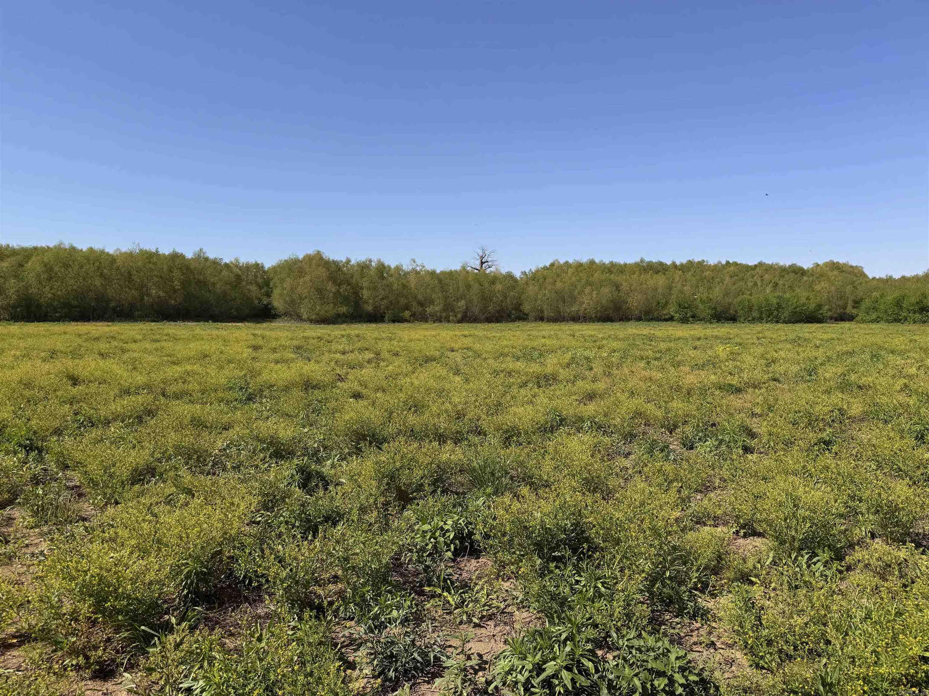 001 Arm Lake Road Property Photo 9