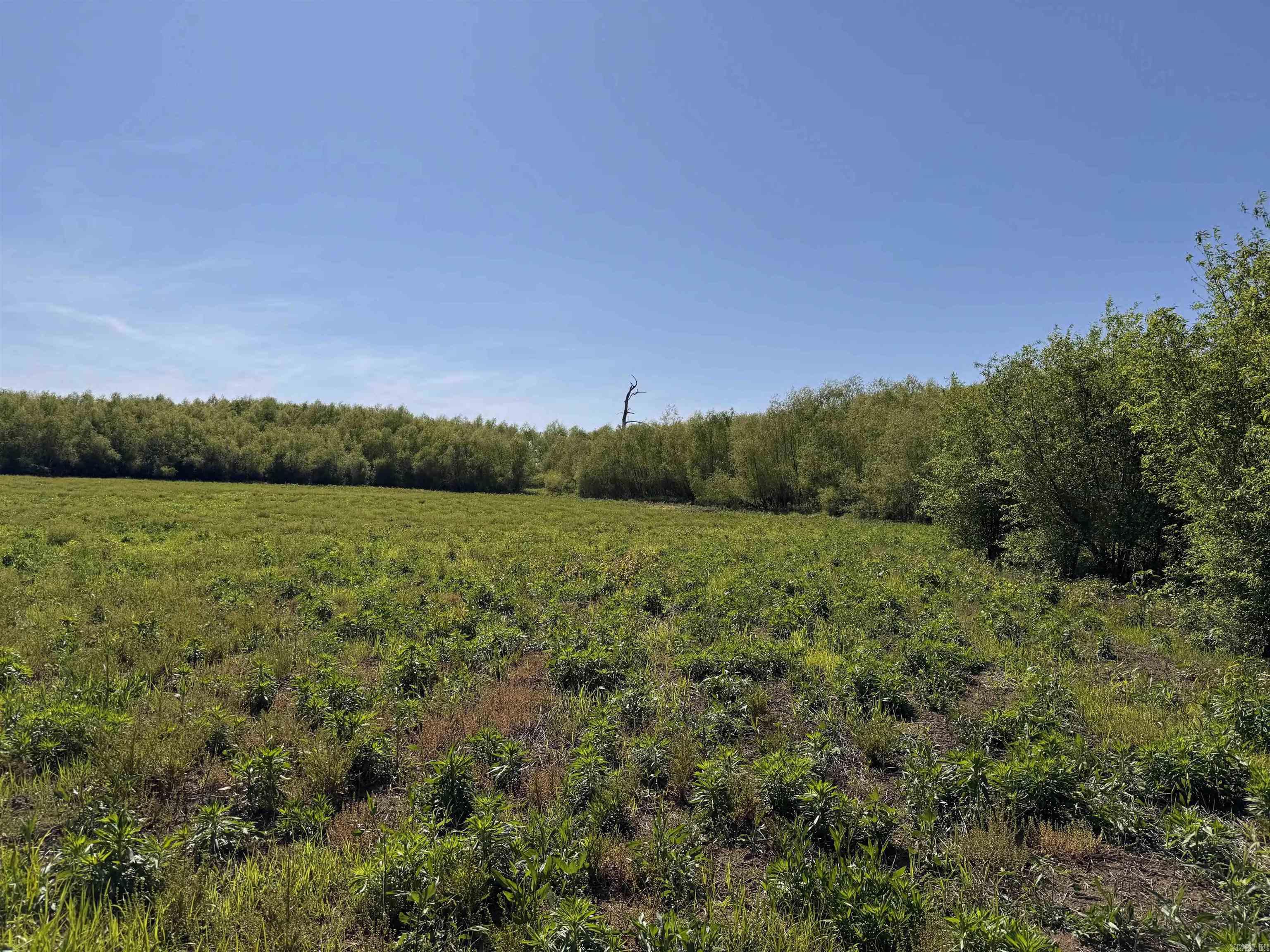 001 Arm Lake Road Property Photo 10