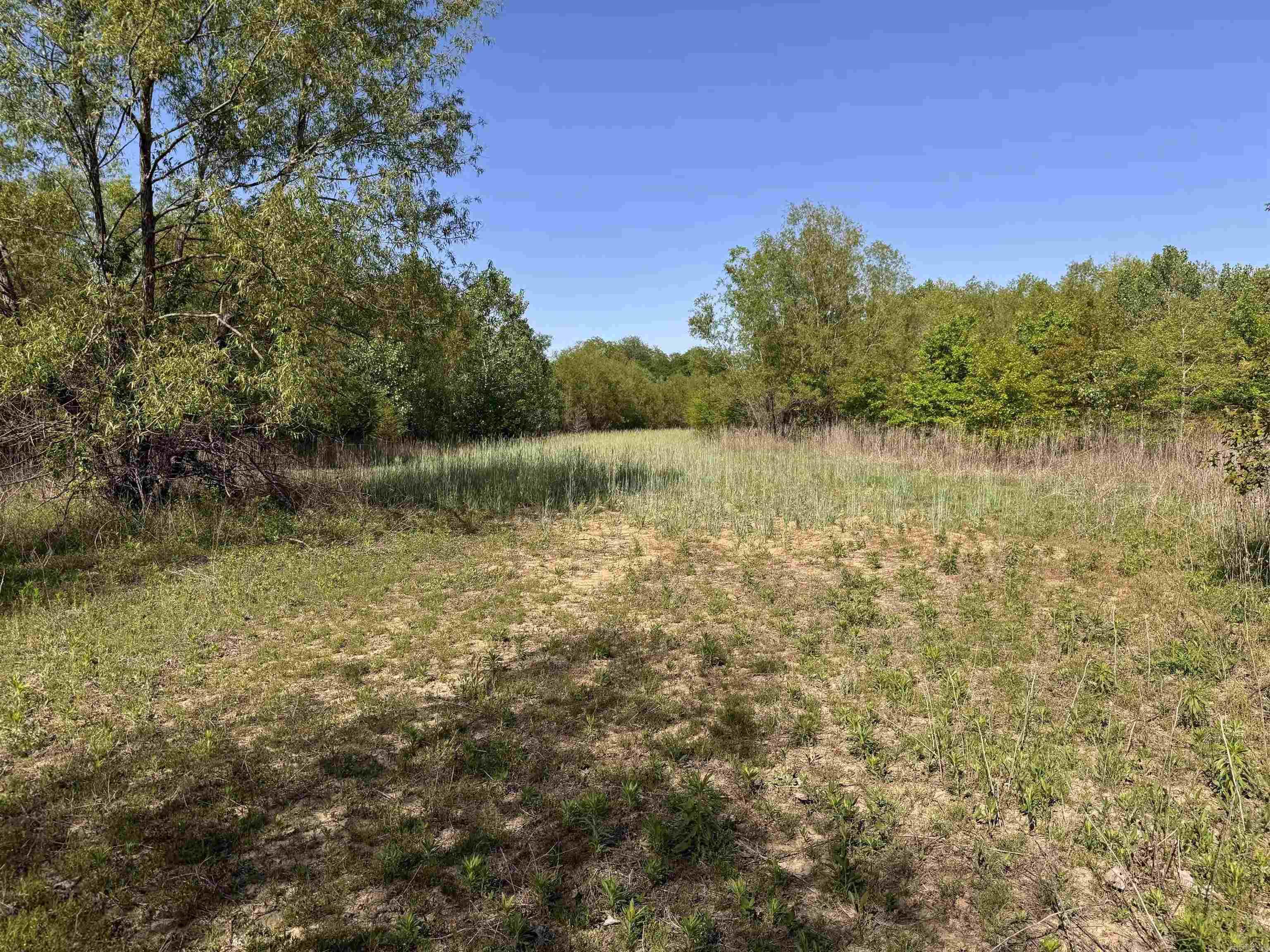 001 Arm Lake Road Property Photo 11