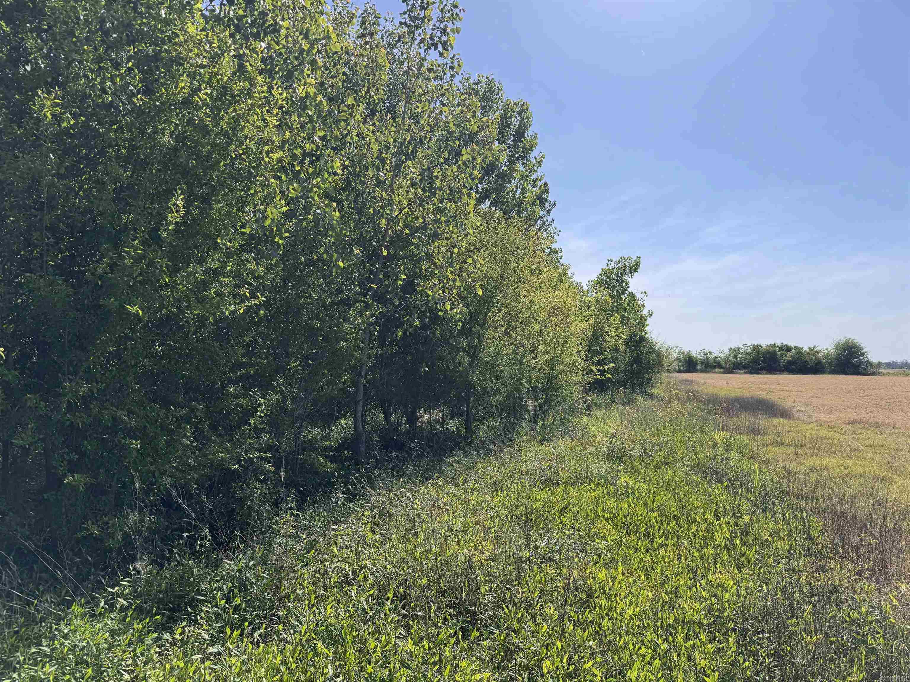 001 Arm Lake Road Property Photo 15