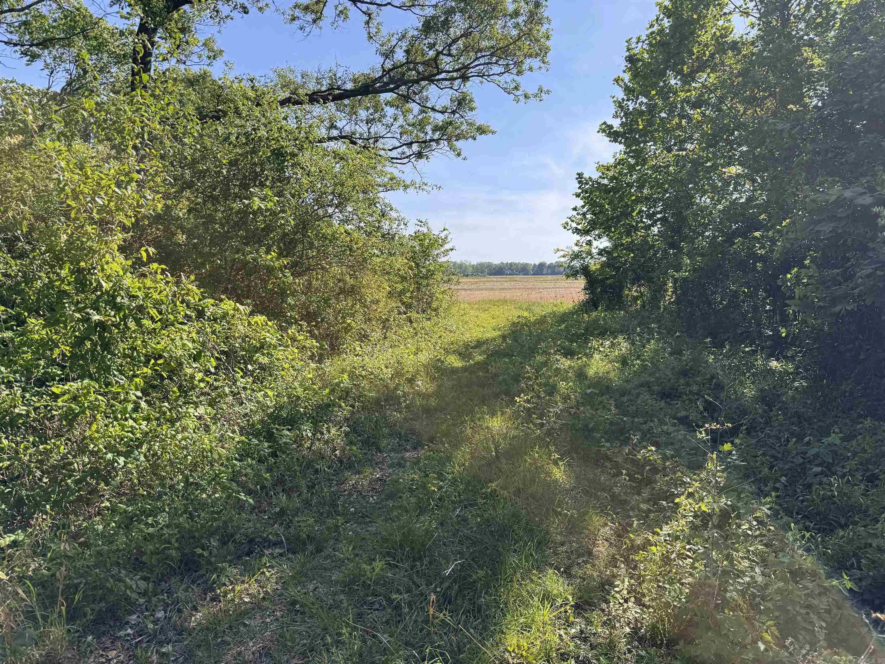 001 Arm Lake Road Property Photo 16