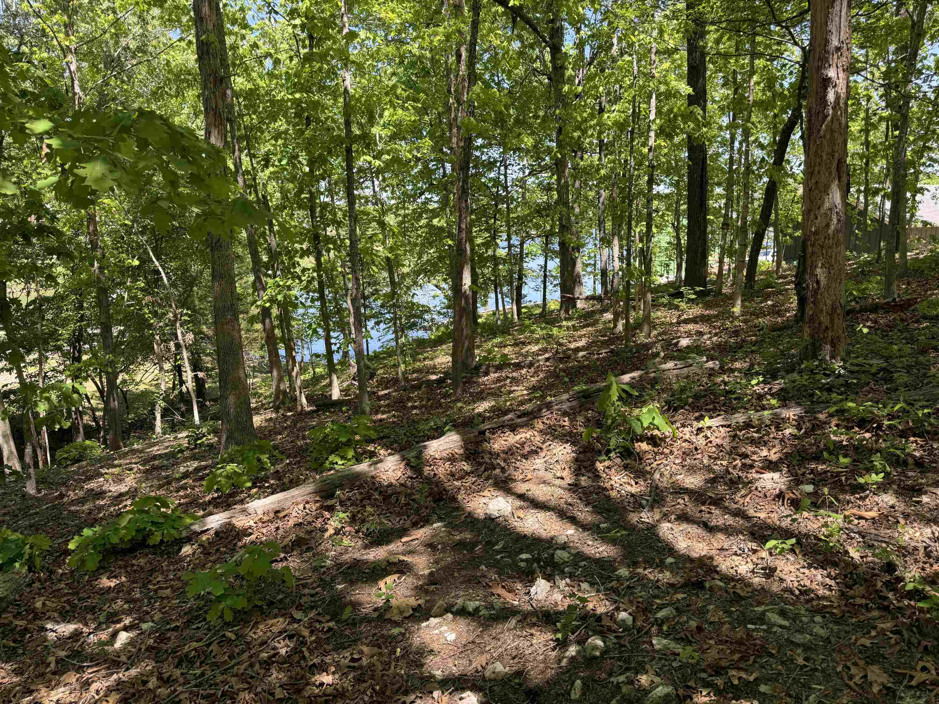 200 Isabella Lane Property Photo 13