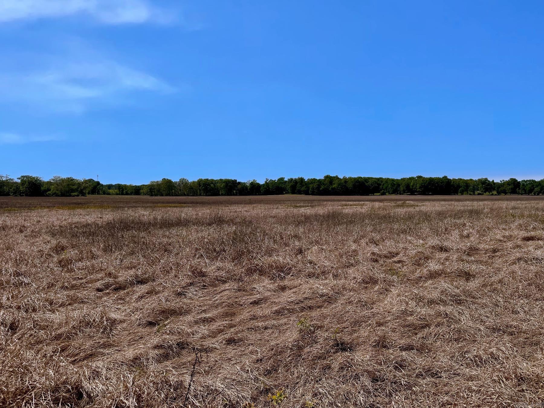 000 Low Water Bridge Road Property Photo 17