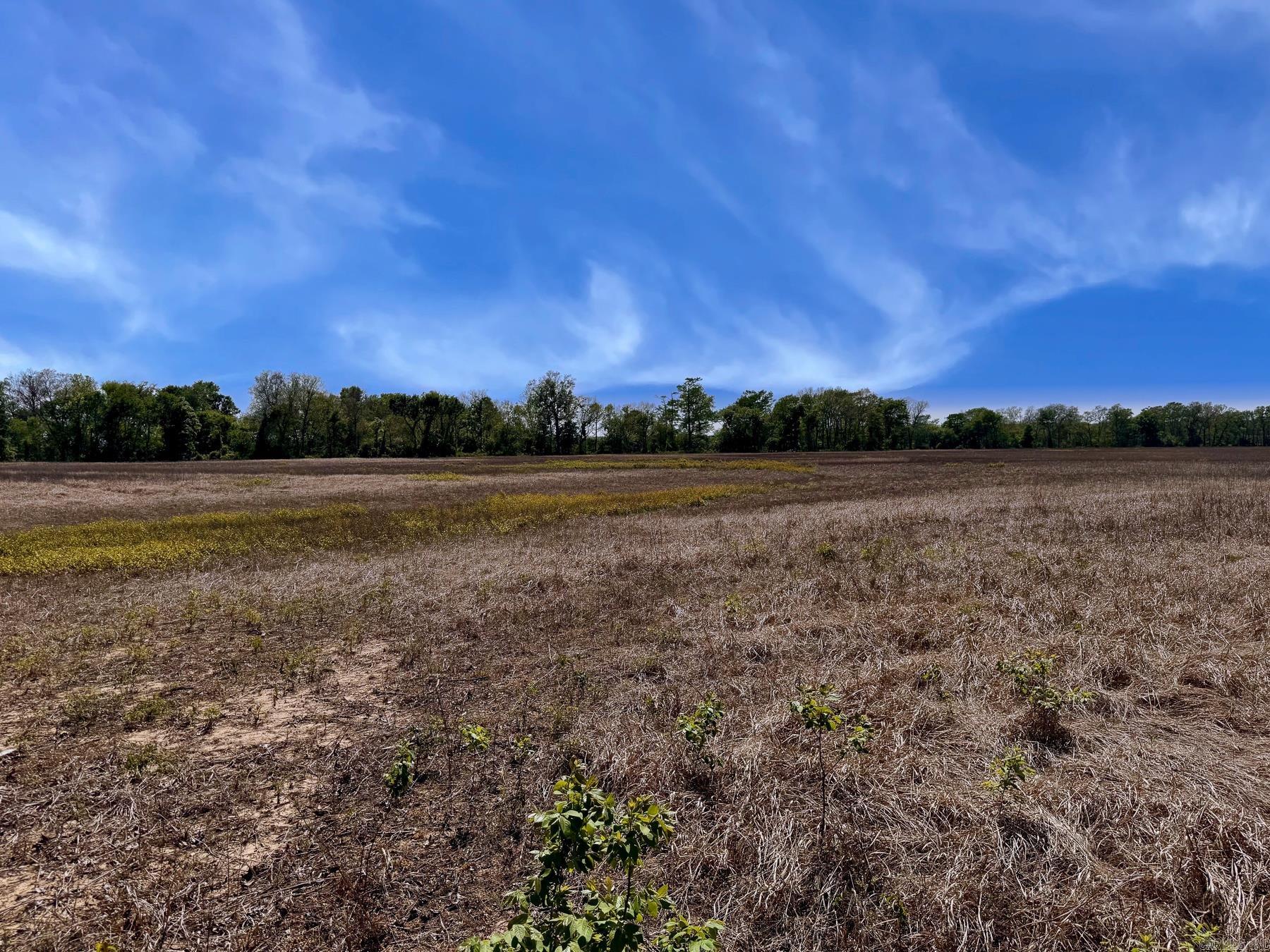 000 Low Water Bridge Road Property Photo 18
