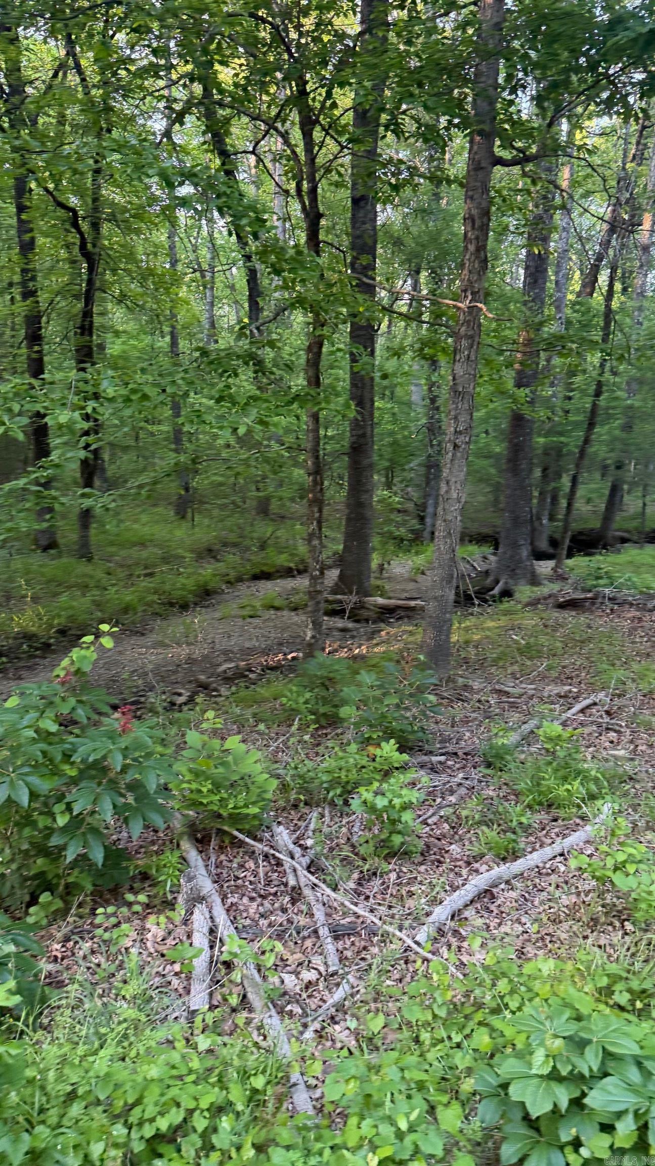 00 Robinson Road Property Photo 2