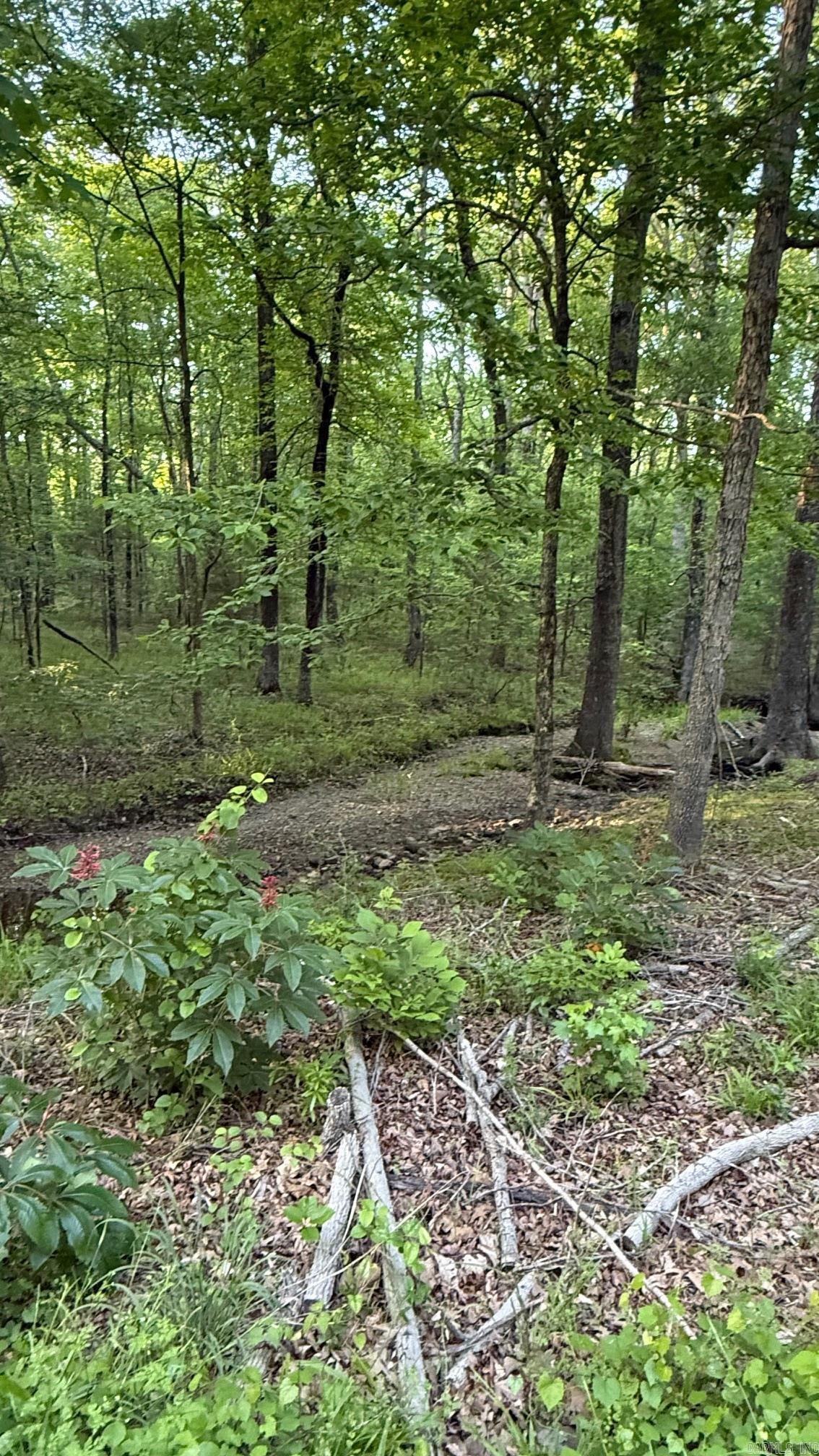 00 Robinson Road Property Photo 4
