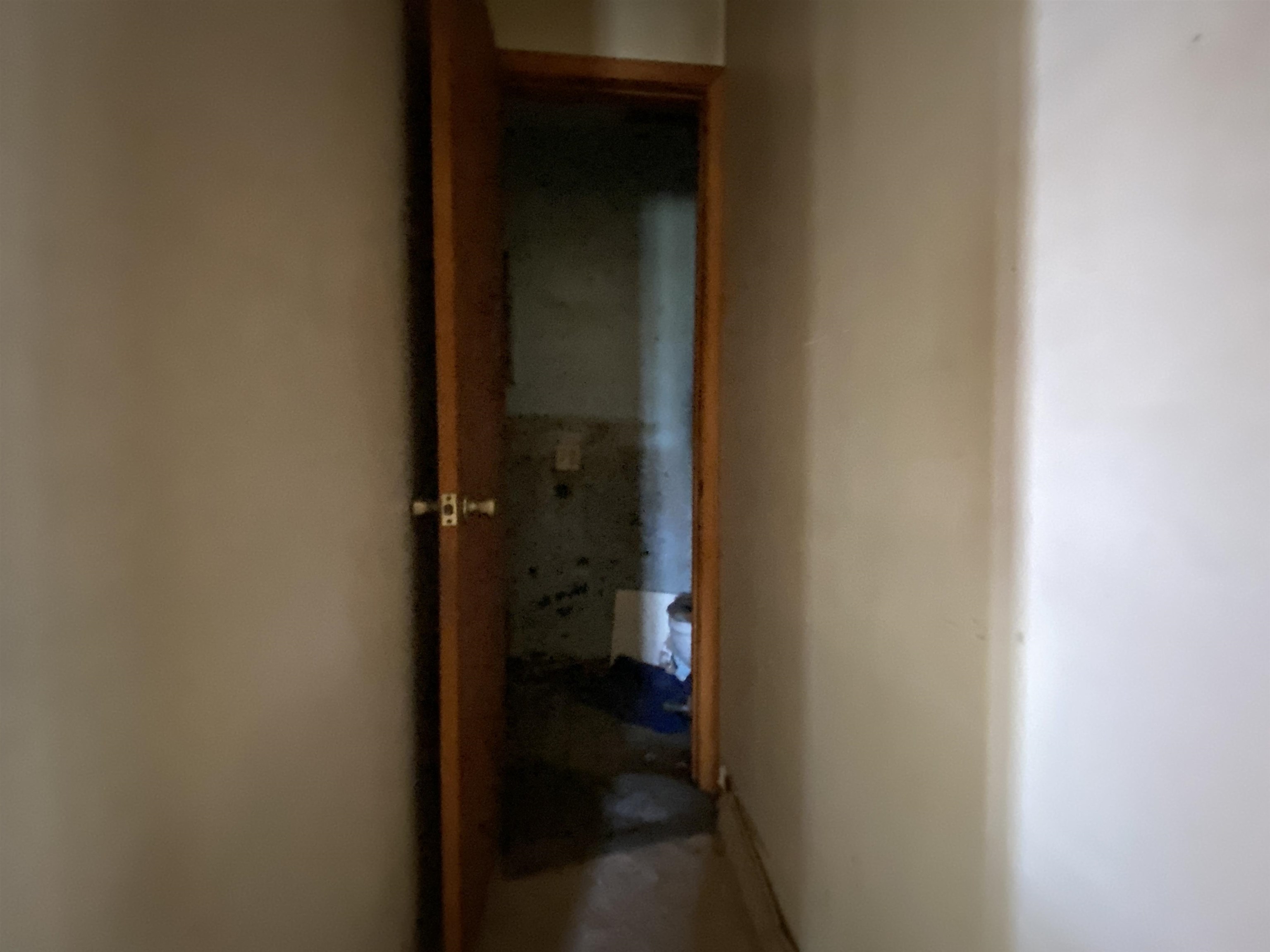 119 Chessmond Ferry Road Property Photo 10
