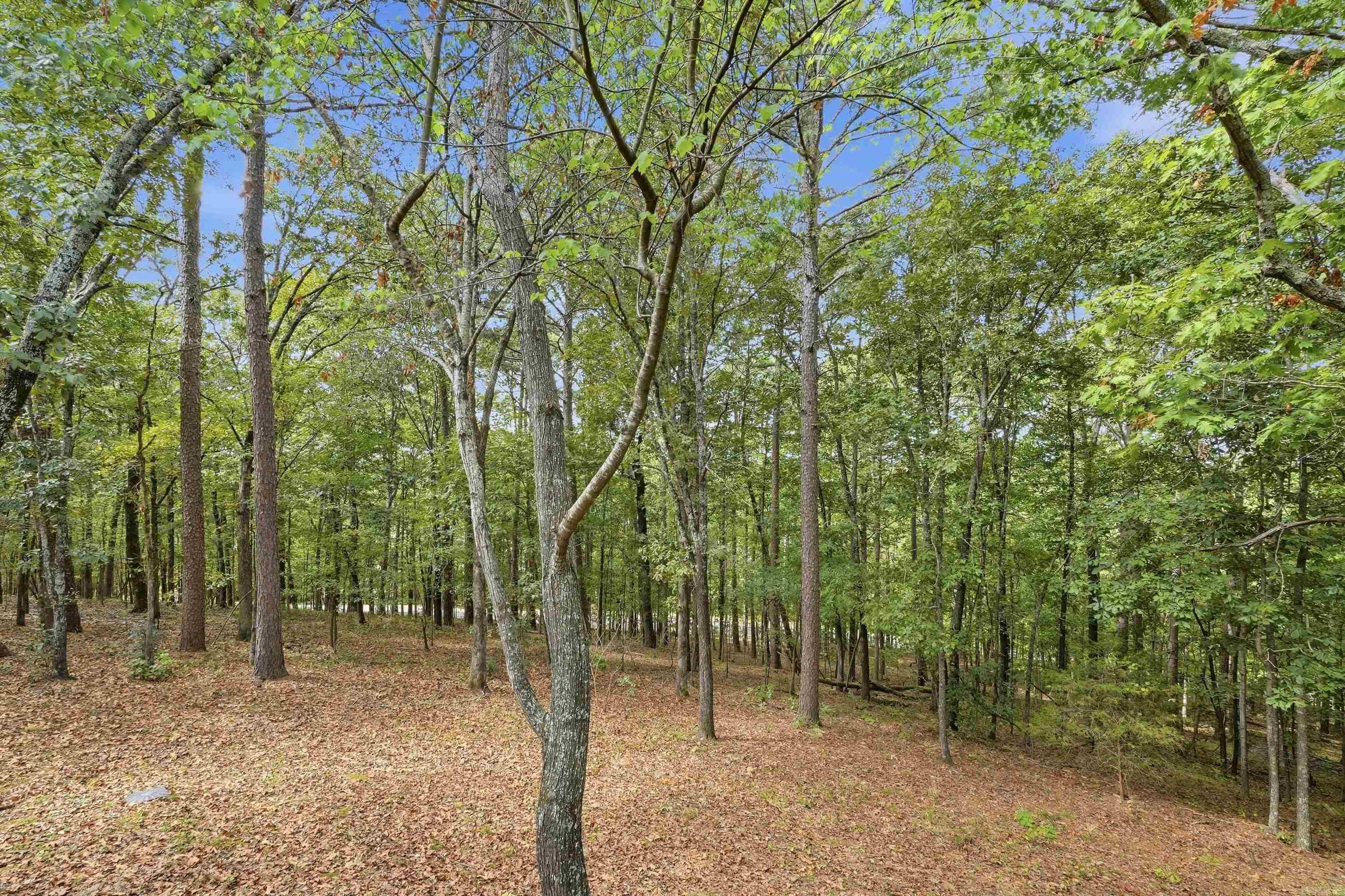 167 Overlook Drive Property Photo 31