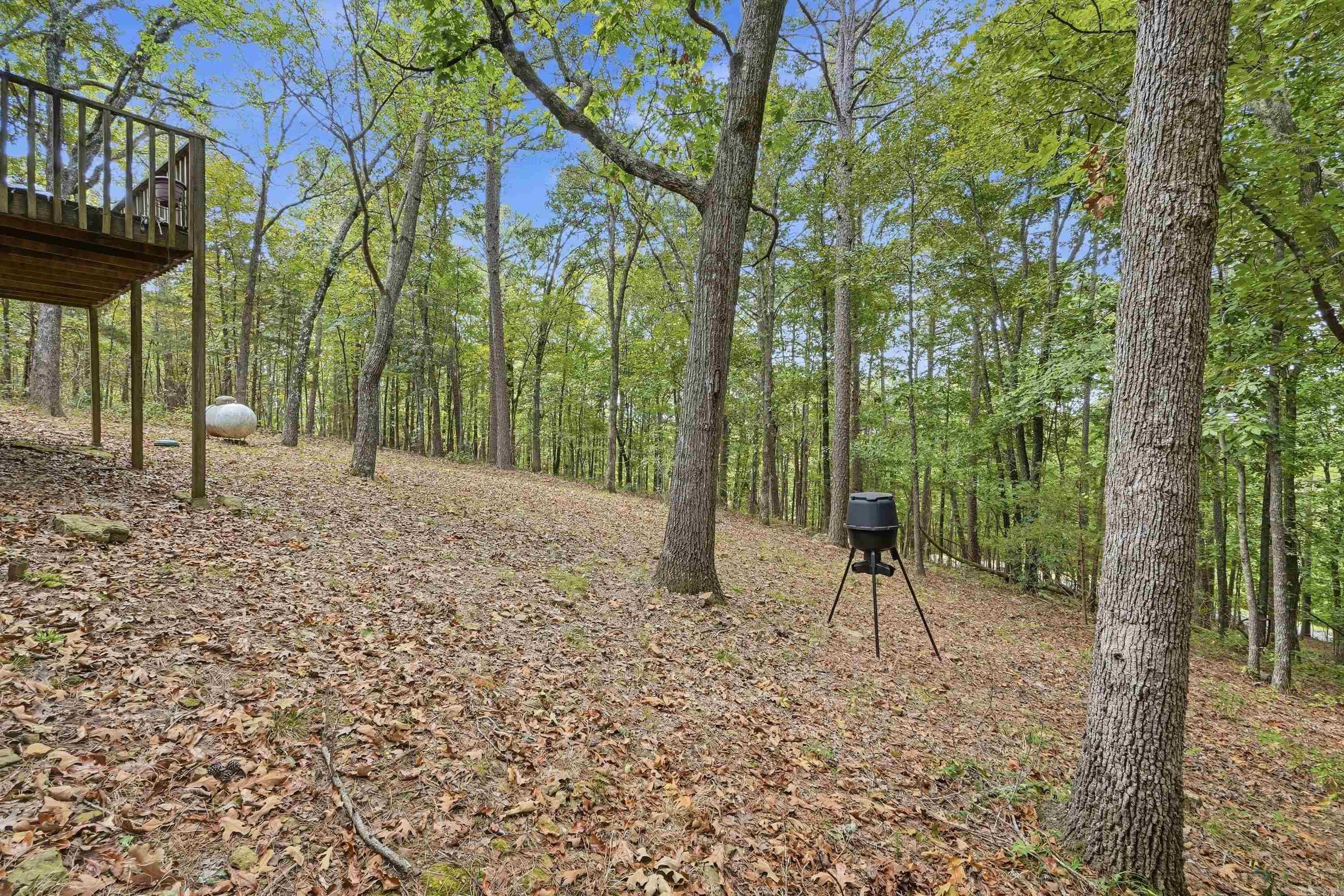 167 Overlook Drive Property Photo 37
