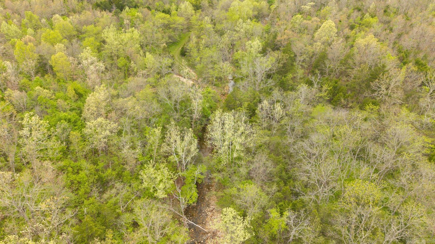 000 Crooked Creek Road Property Photo 6