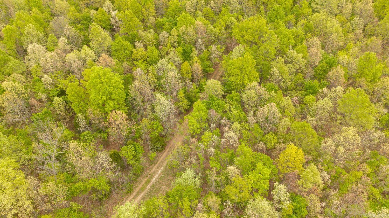 000 Crooked Creek Road Property Photo 7