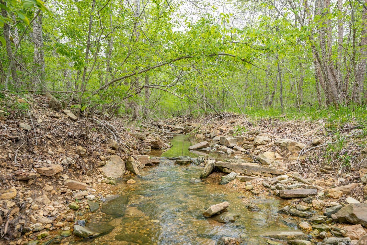 000 Crooked Creek Road Property Photo 11