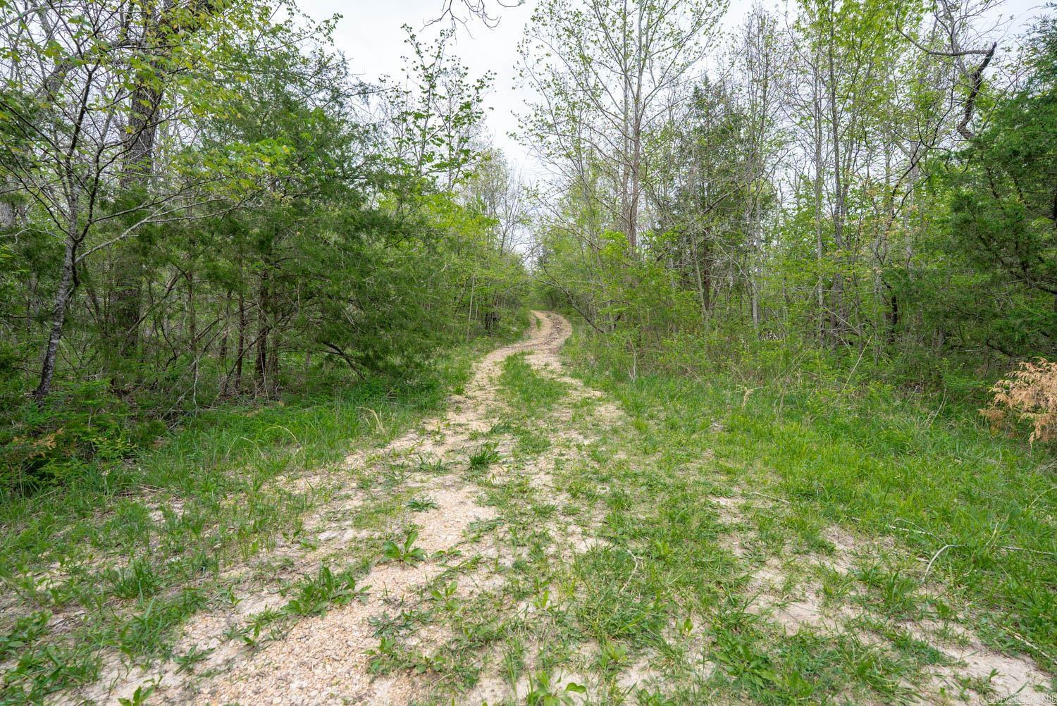 000 Crooked Creek Road Property Photo 14