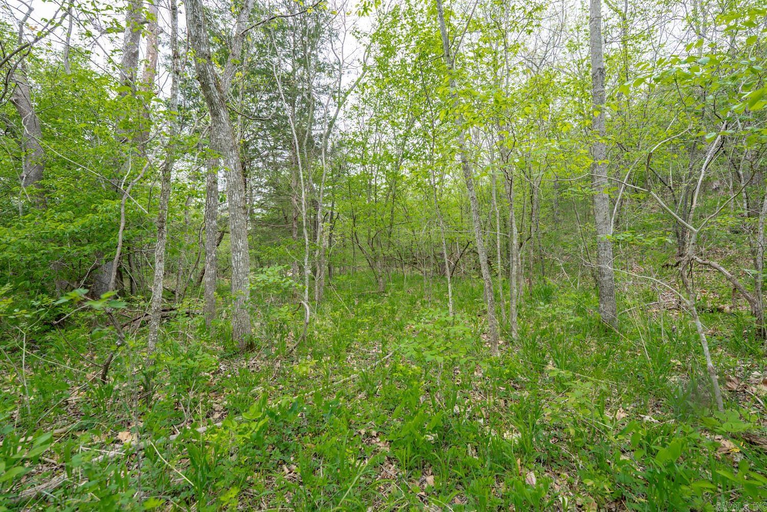 000 Crooked Creek Road Property Photo 21