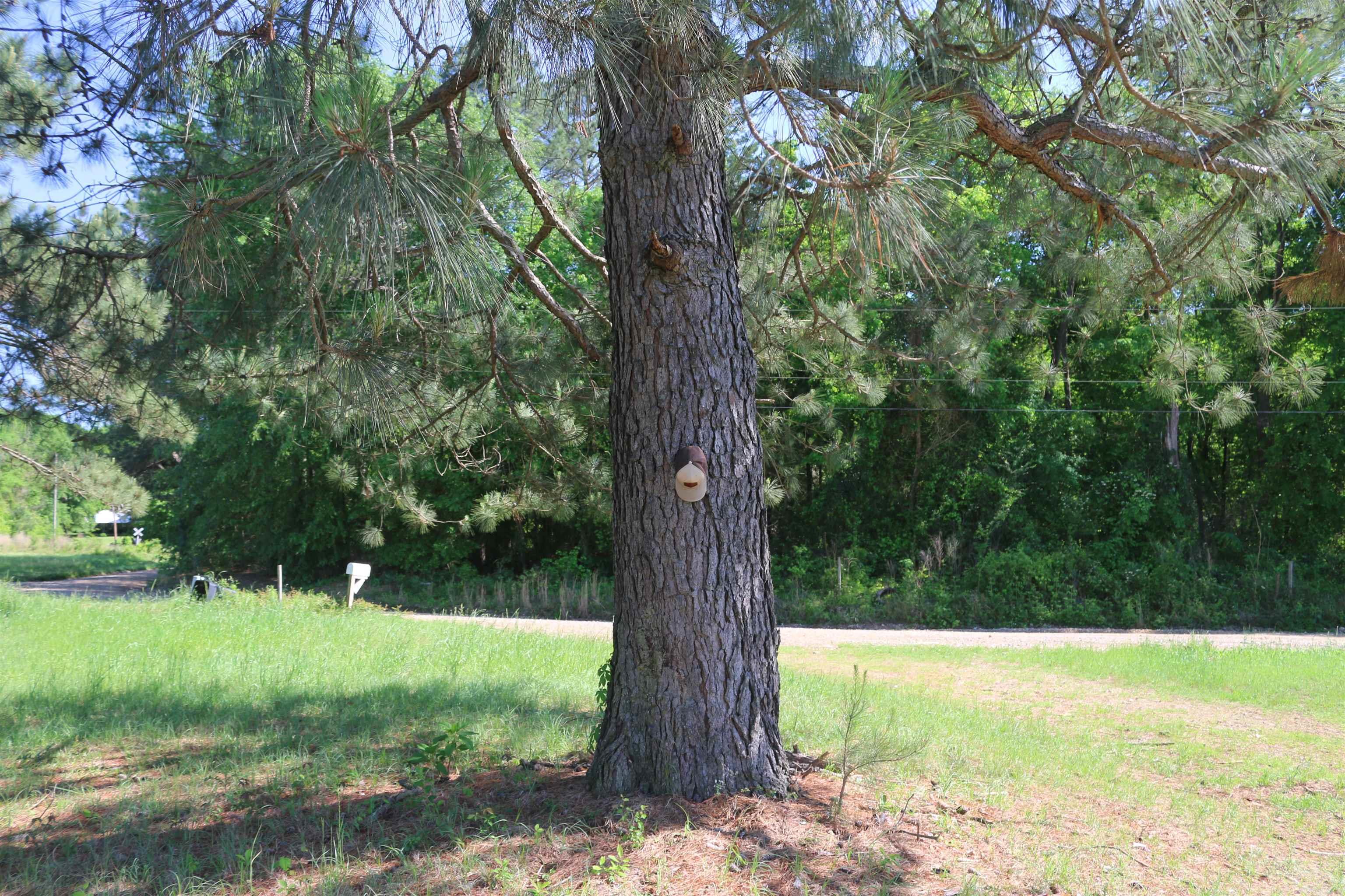 225 Martin Road Property Photo 27