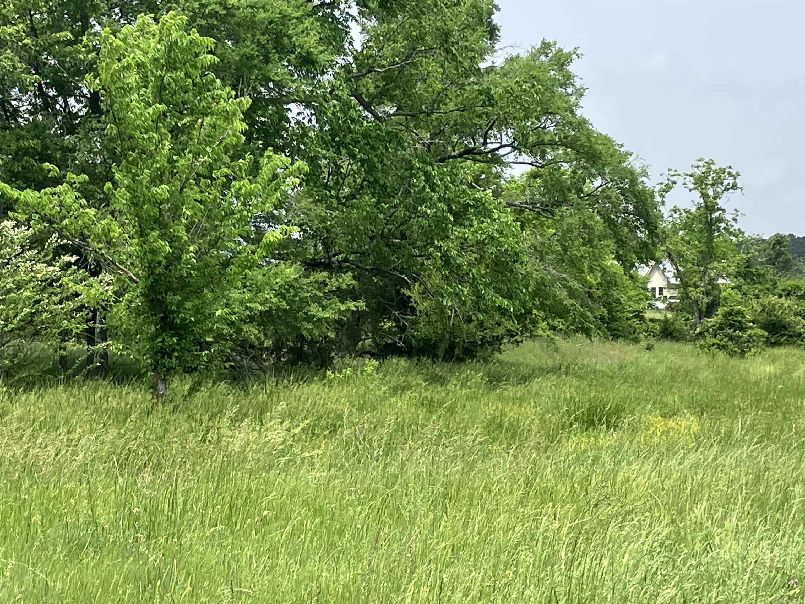 Tbd Abernathy Rd. Property Photo 1