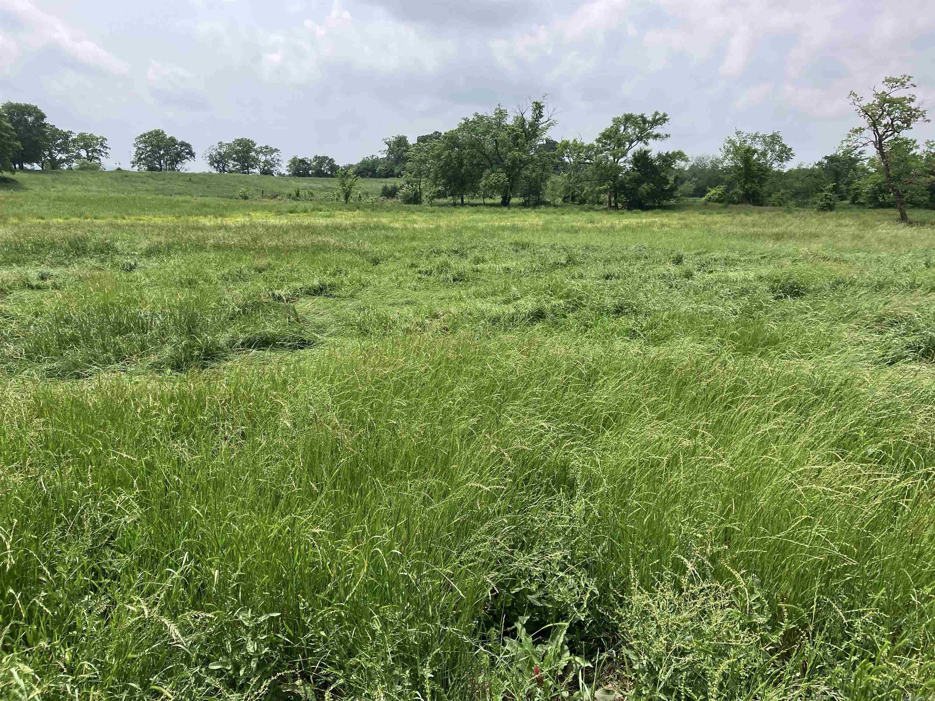 Tbd Abernathy Rd. Property Photo 2