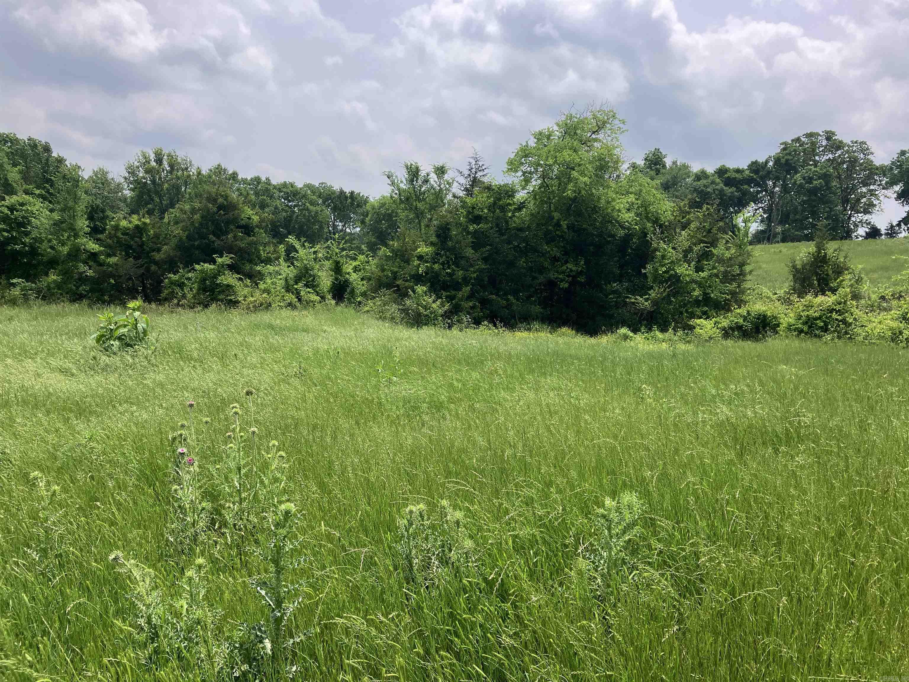 Tbd Abernathy Rd. Property Photo 3