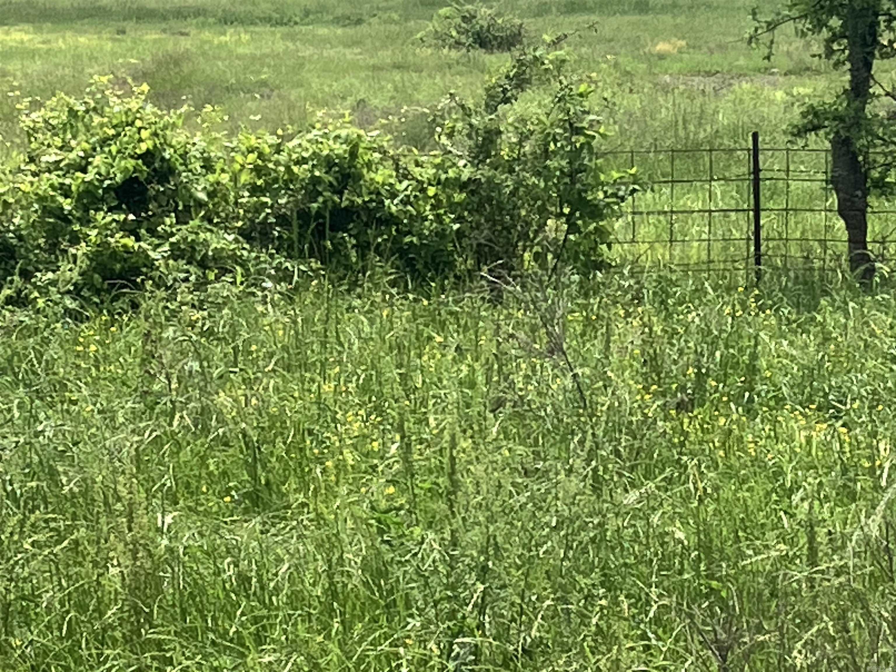 Tbd Abernathy Rd. Property Photo 4