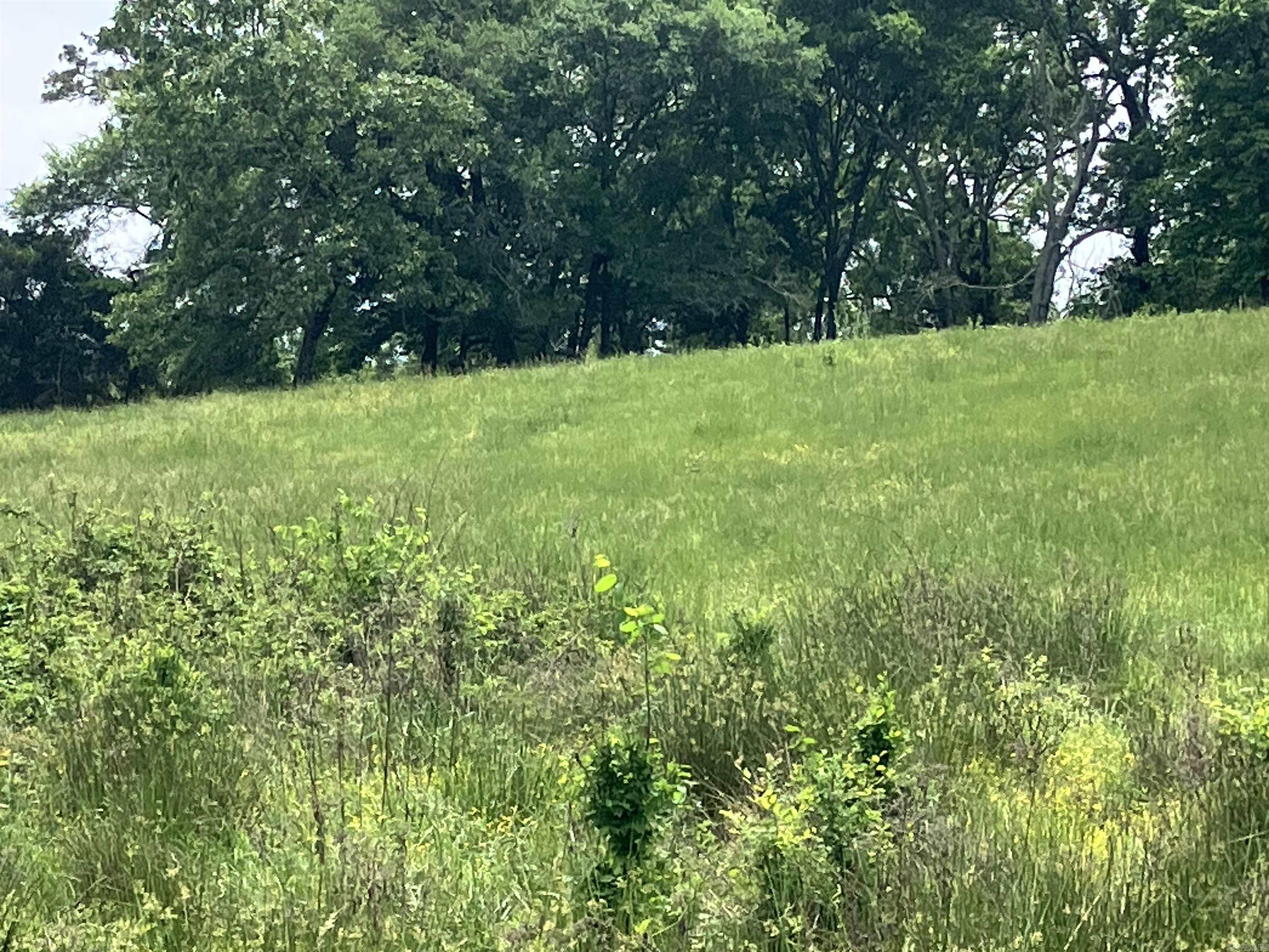 Tbd Abernathy Rd. Property Photo 5
