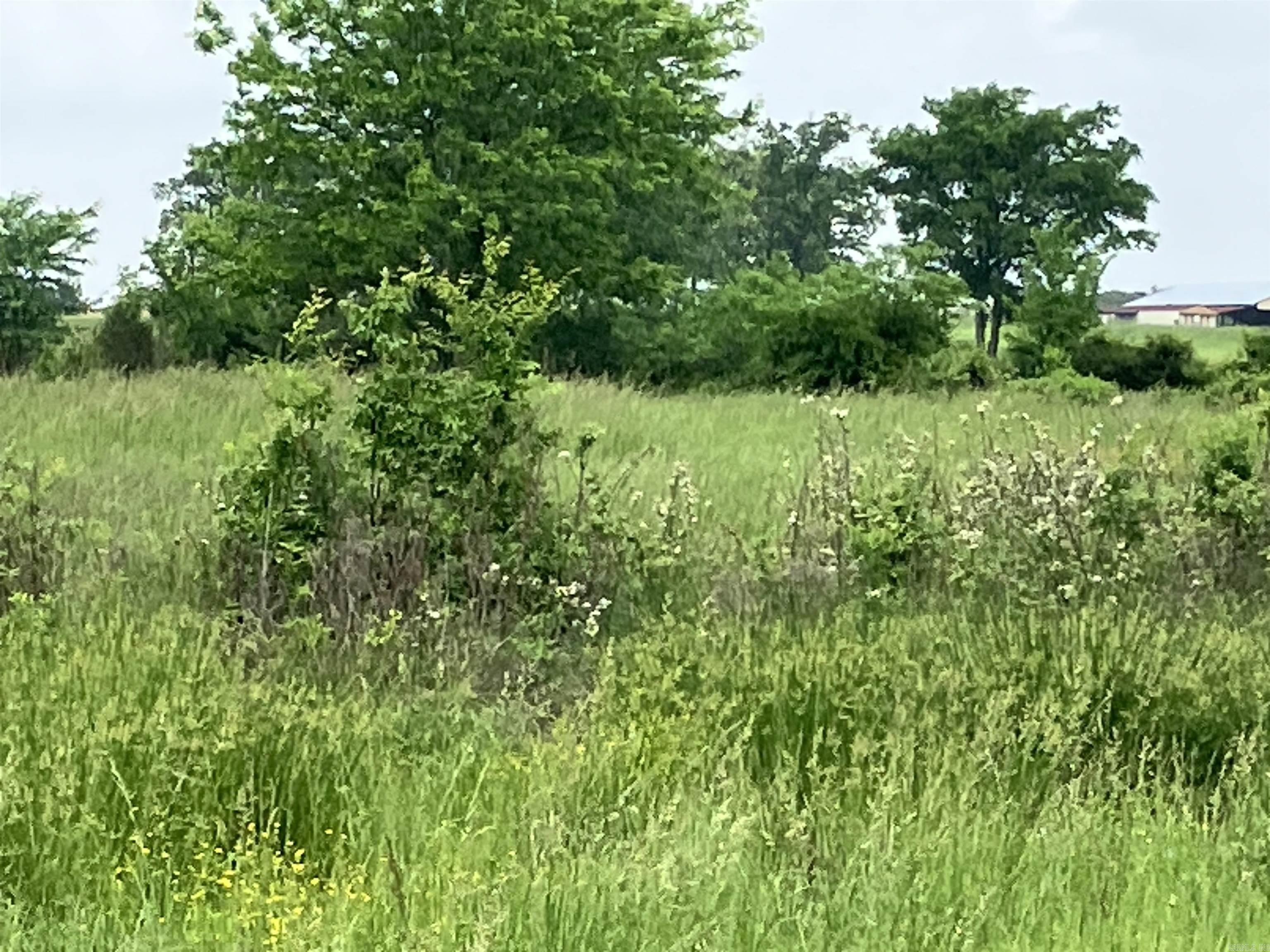 Tbd Abernathy Rd. Property Photo 6