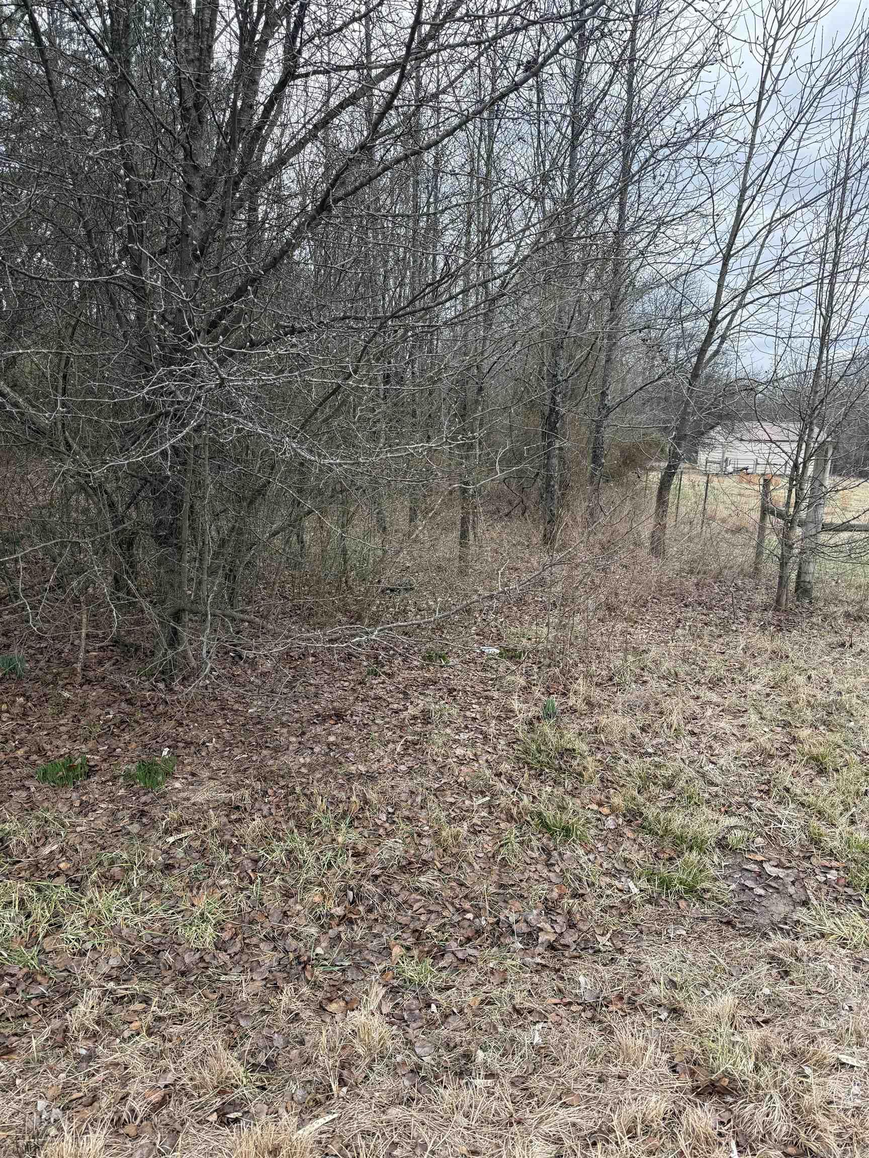 17925 Cobb Lane Property Photo 4