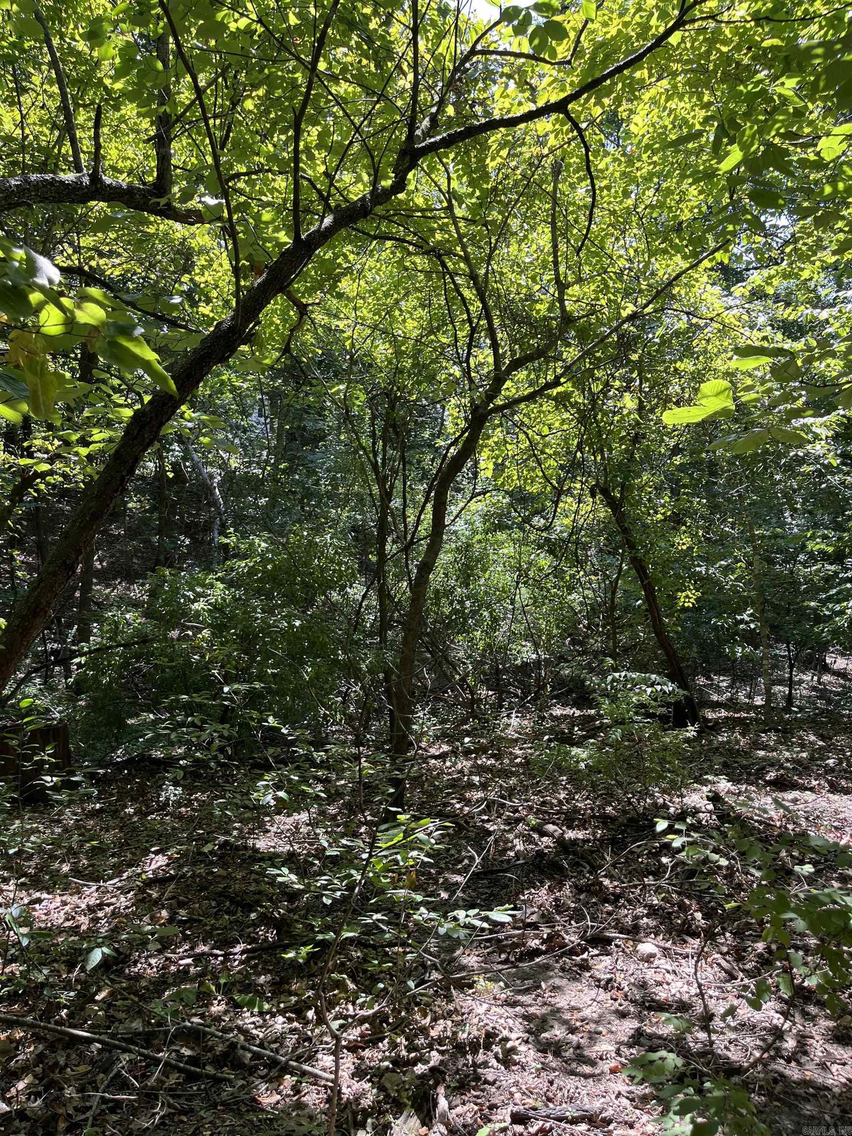 Lt 23,24,25 Sycamore Tree Lane Property Photo 2