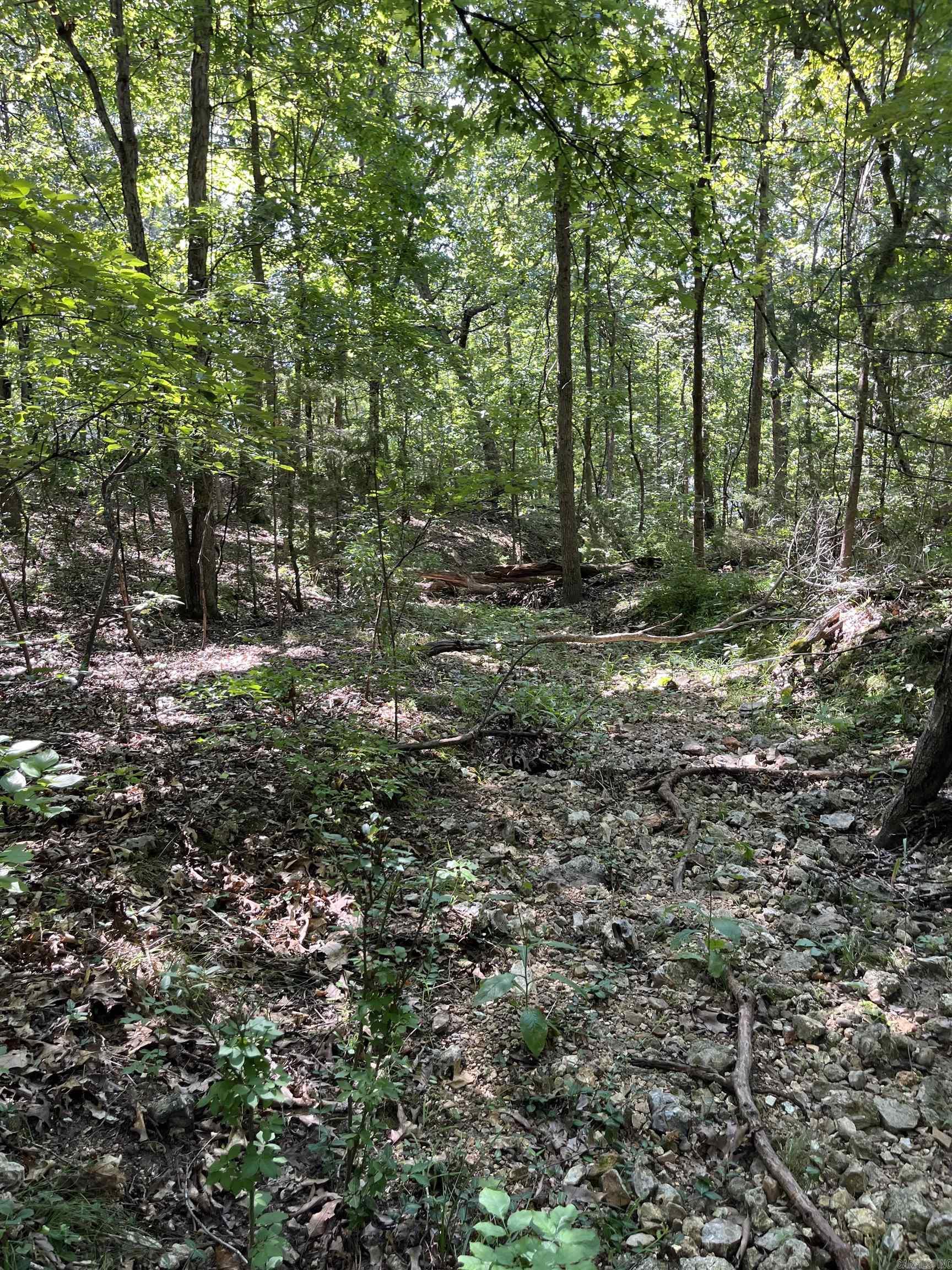 Lt 23,24,25 Sycamore Tree Lane Property Photo 3