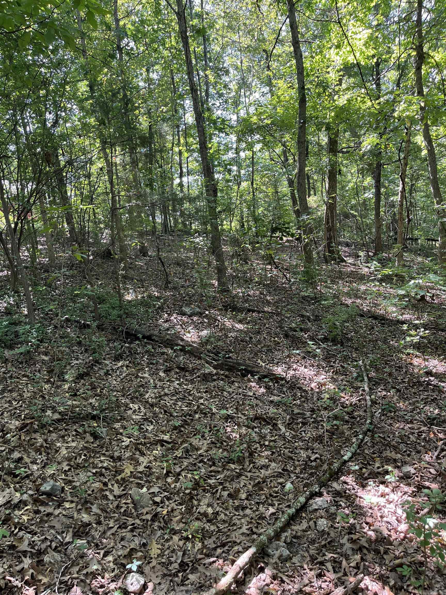 Lt 23,24,25 Sycamore Tree Lane Property Photo 4