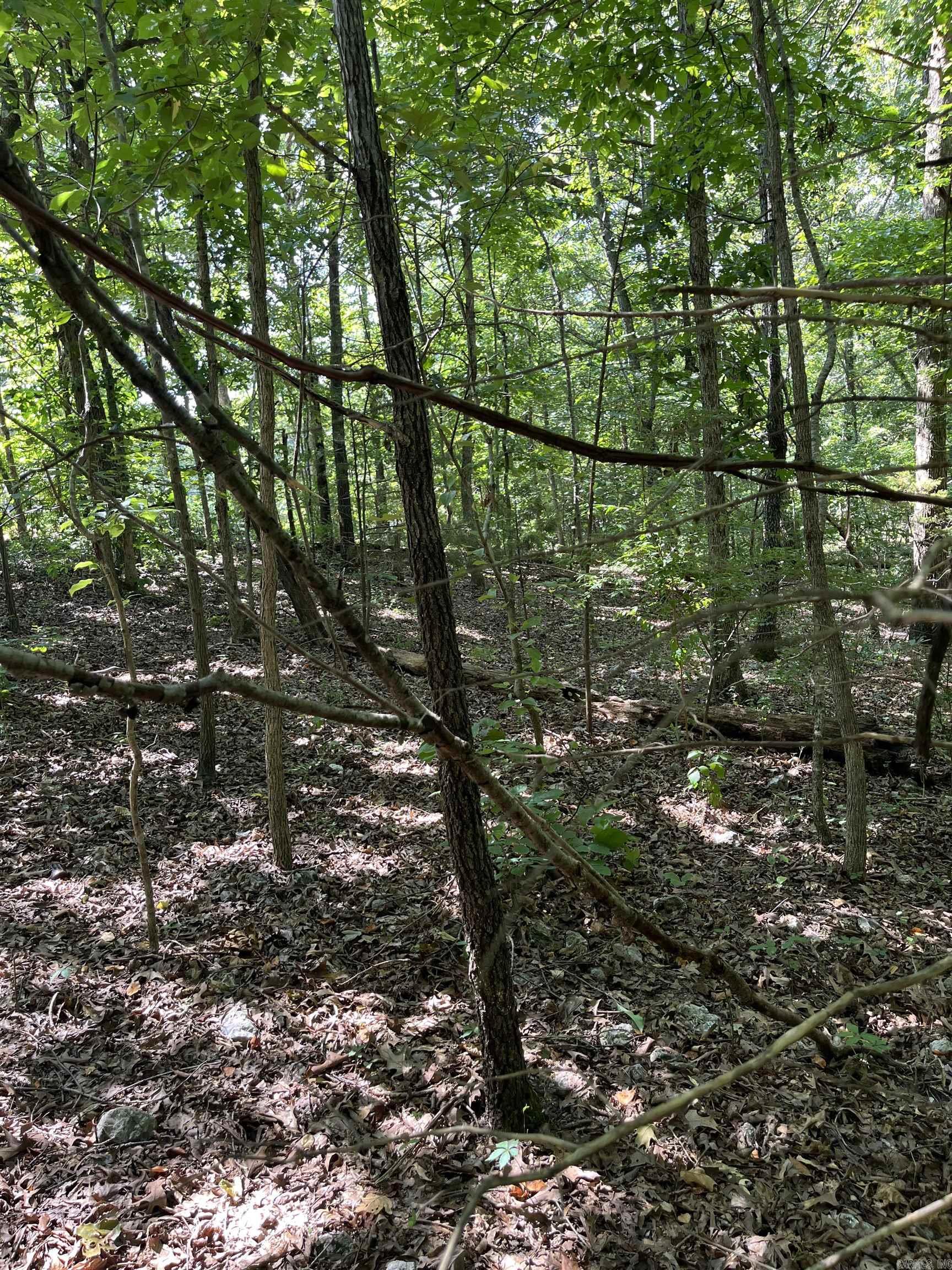 Lt 23,24,25 Sycamore Tree Lane Property Photo 5