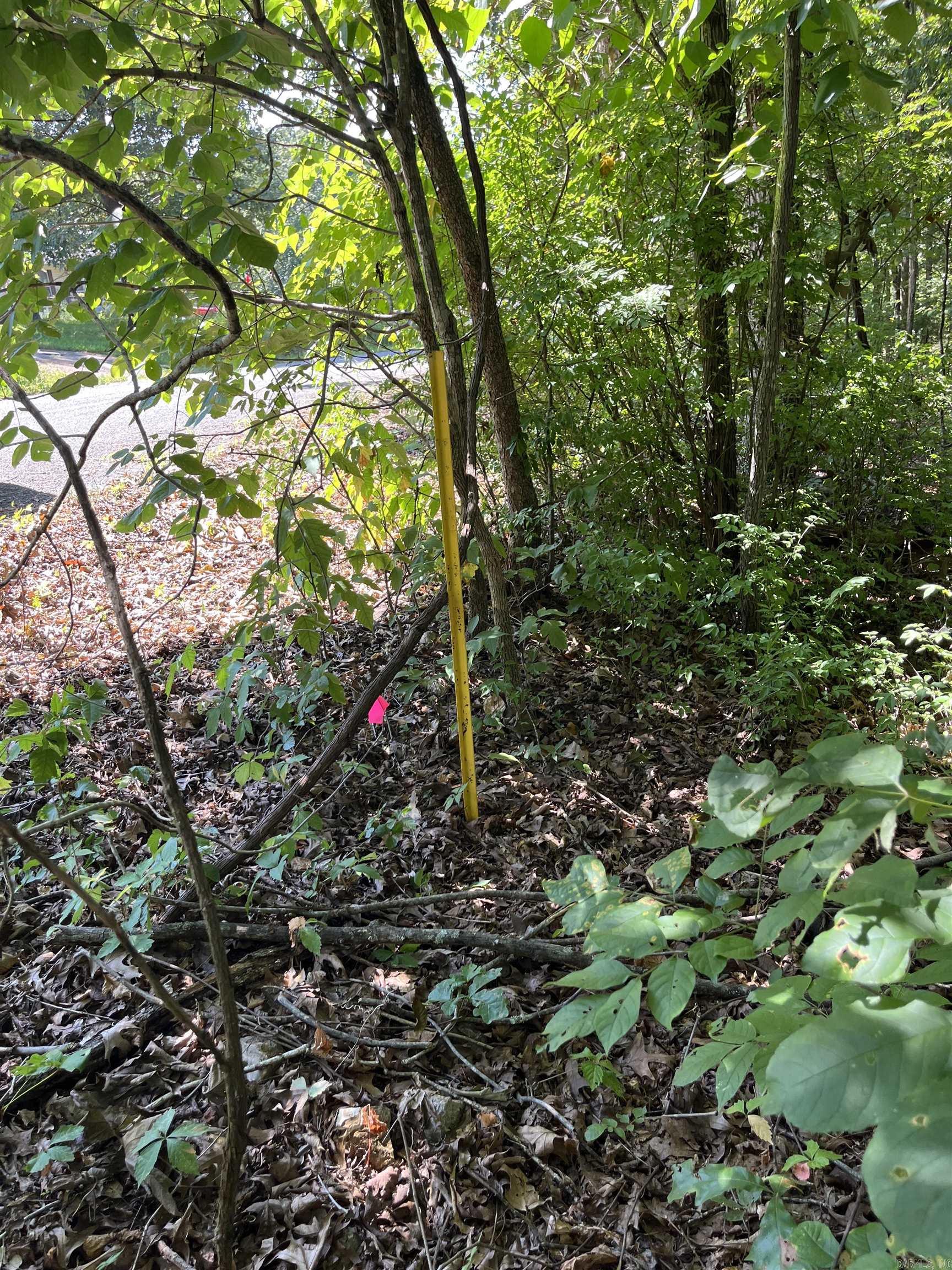 Lt 23,24,25 Sycamore Tree Lane Property Photo 6