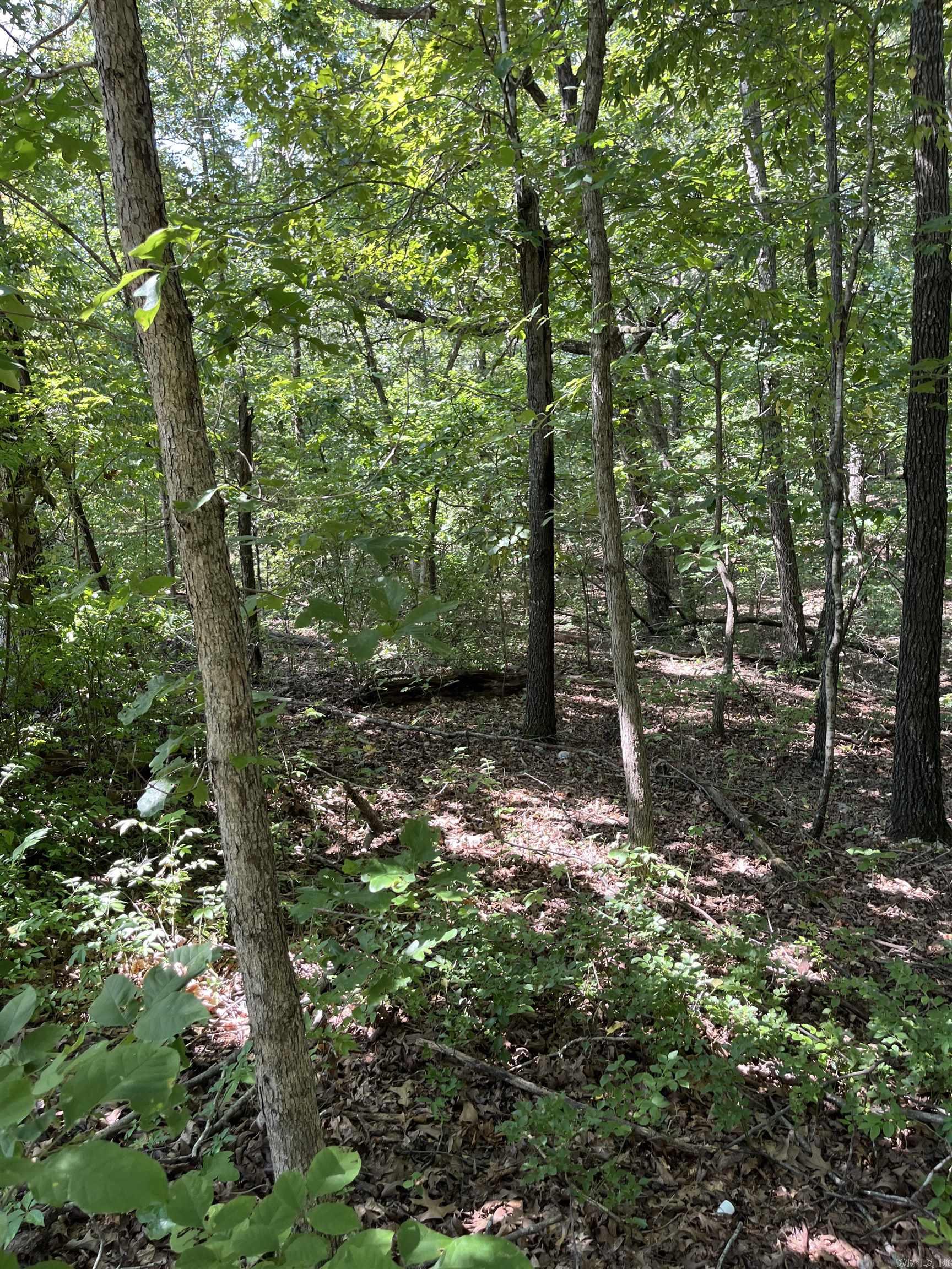 Lt 23,24,25 Sycamore Tree Lane Property Photo 7