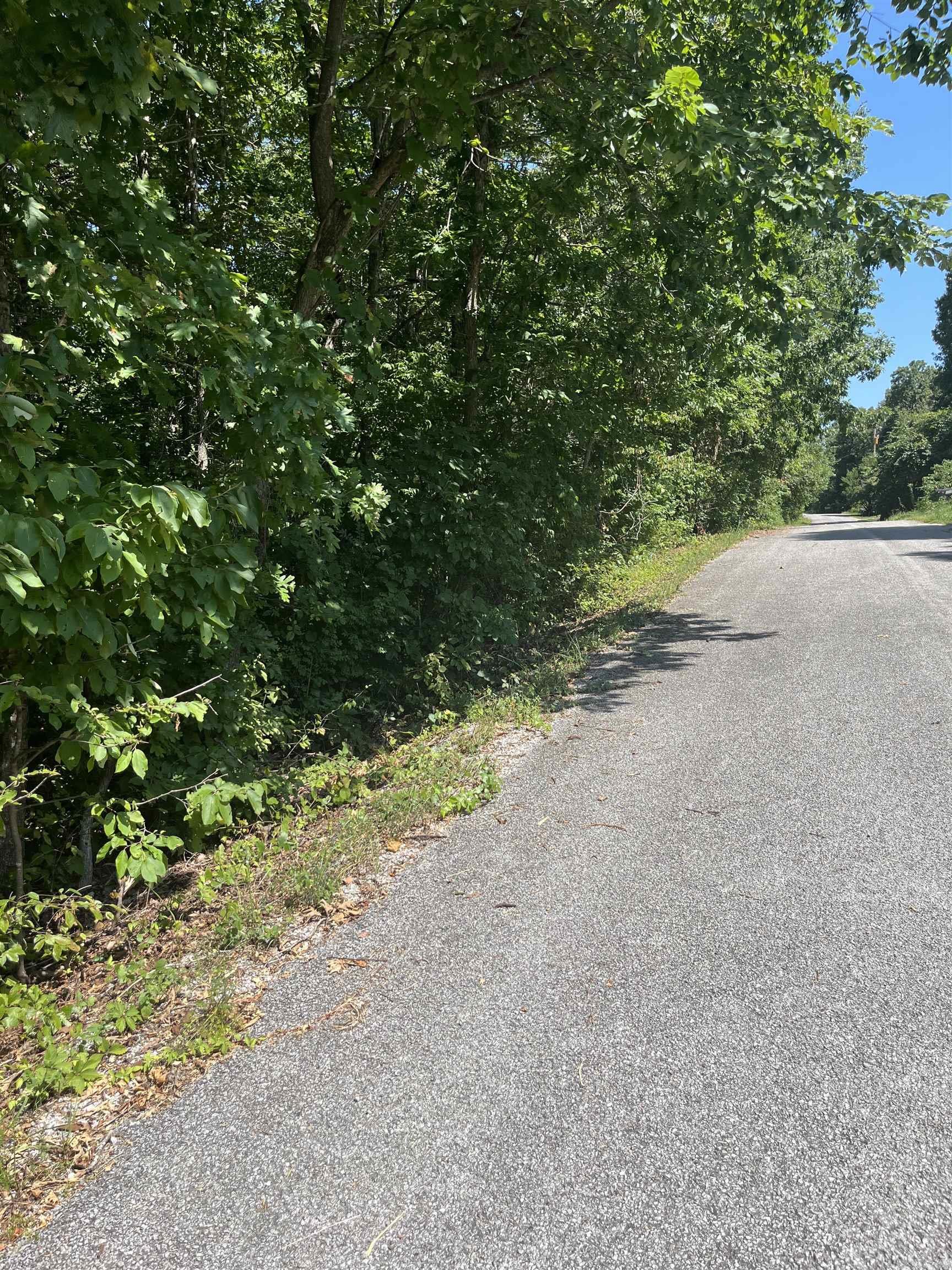 Lt 23,24,25 Sycamore Tree Lane Property Photo 8