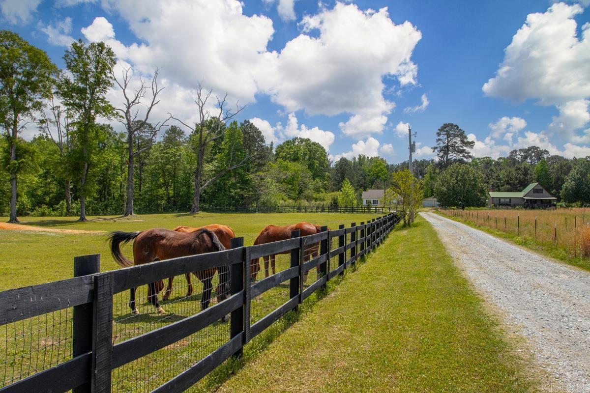 12603 Germania Road Property Photo 19