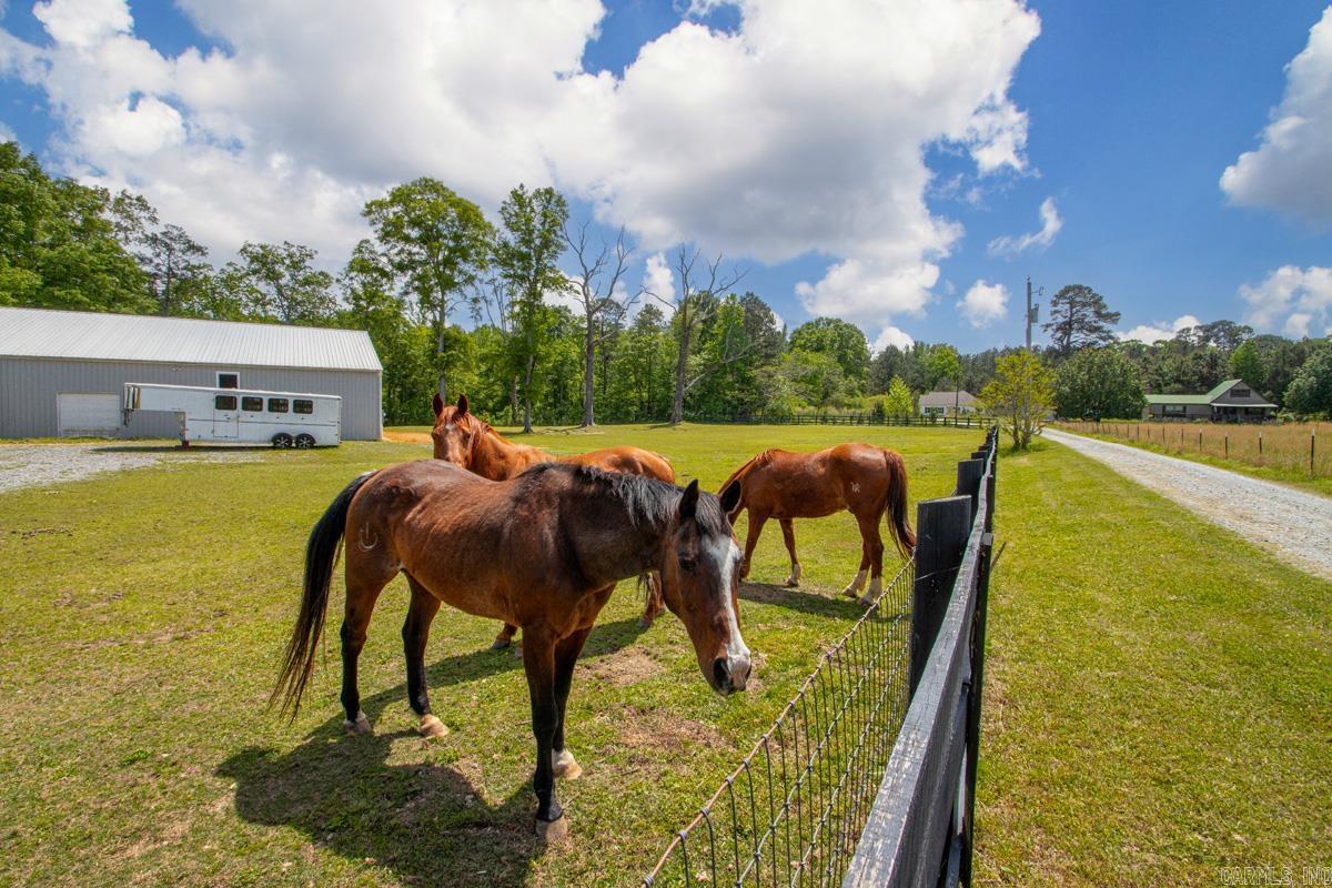 12603 Germania Road Property Photo 20